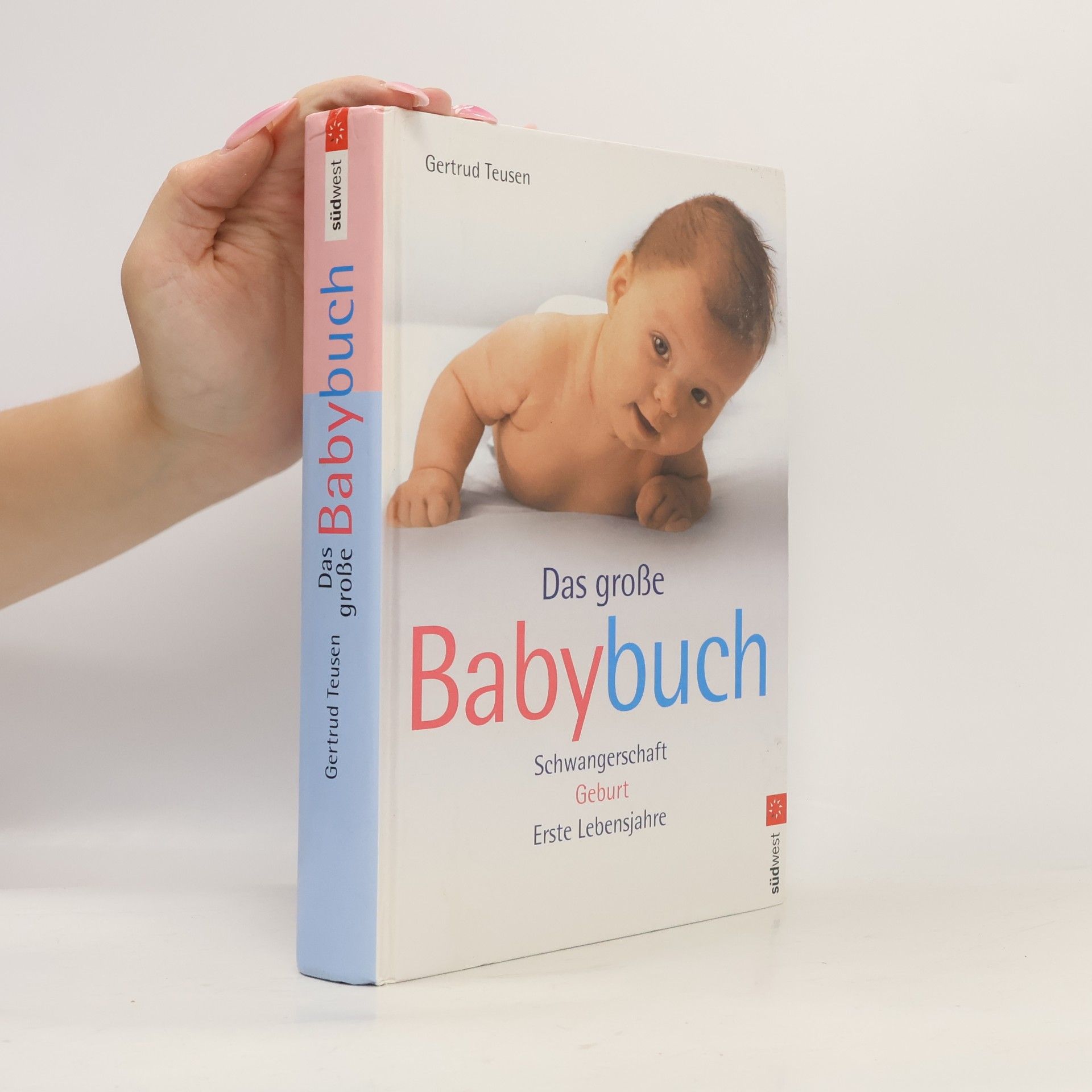 Gertrud Teusen Das große Babybuch