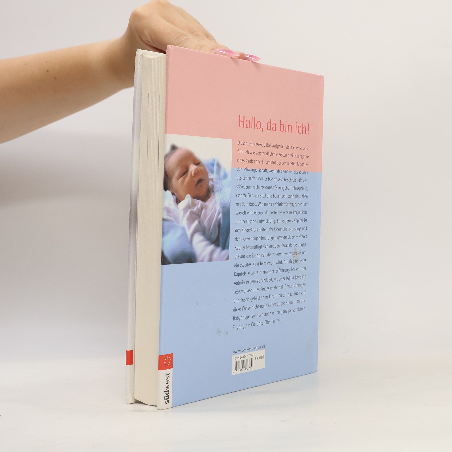 Gertrud Teusen Das große Babybuch
