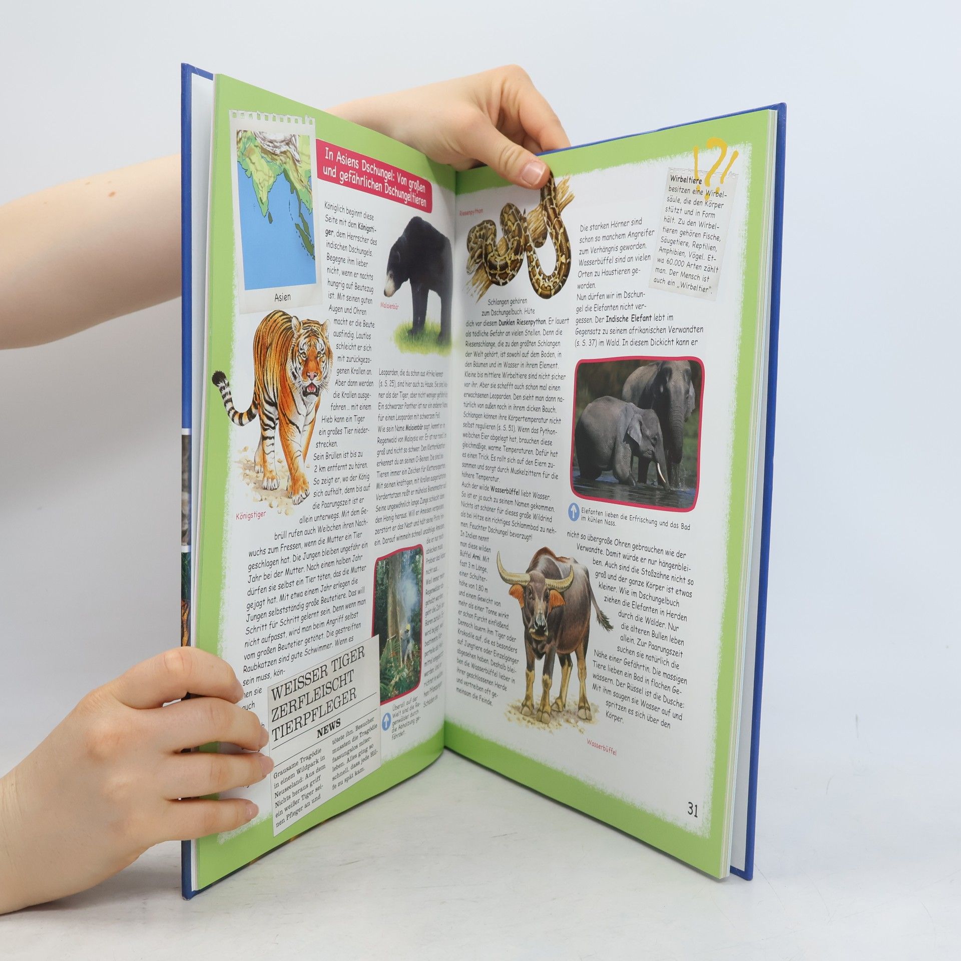Kolektiv autorů Tieratlas für Kinder