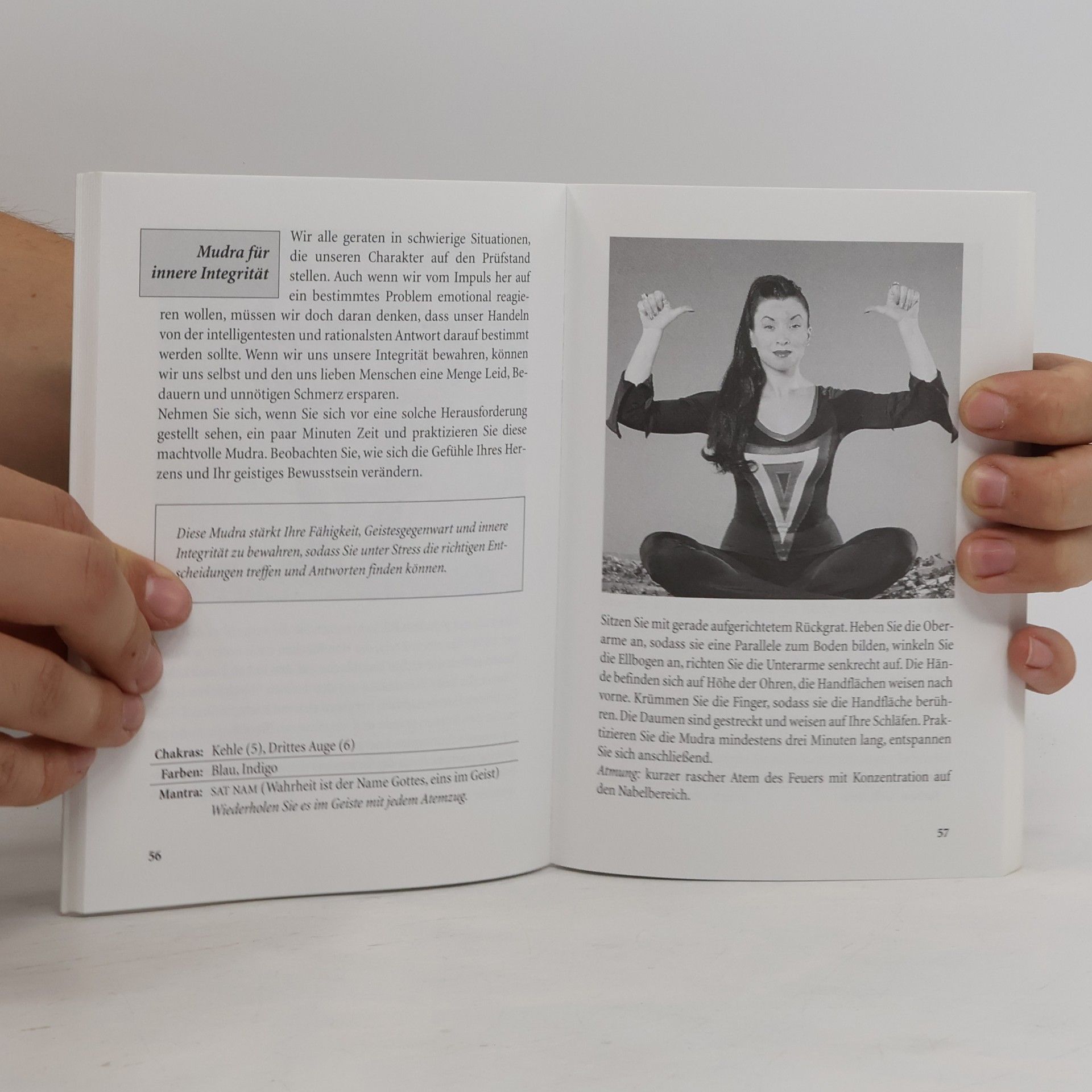 Sabrina Mesko Heilende Mudras