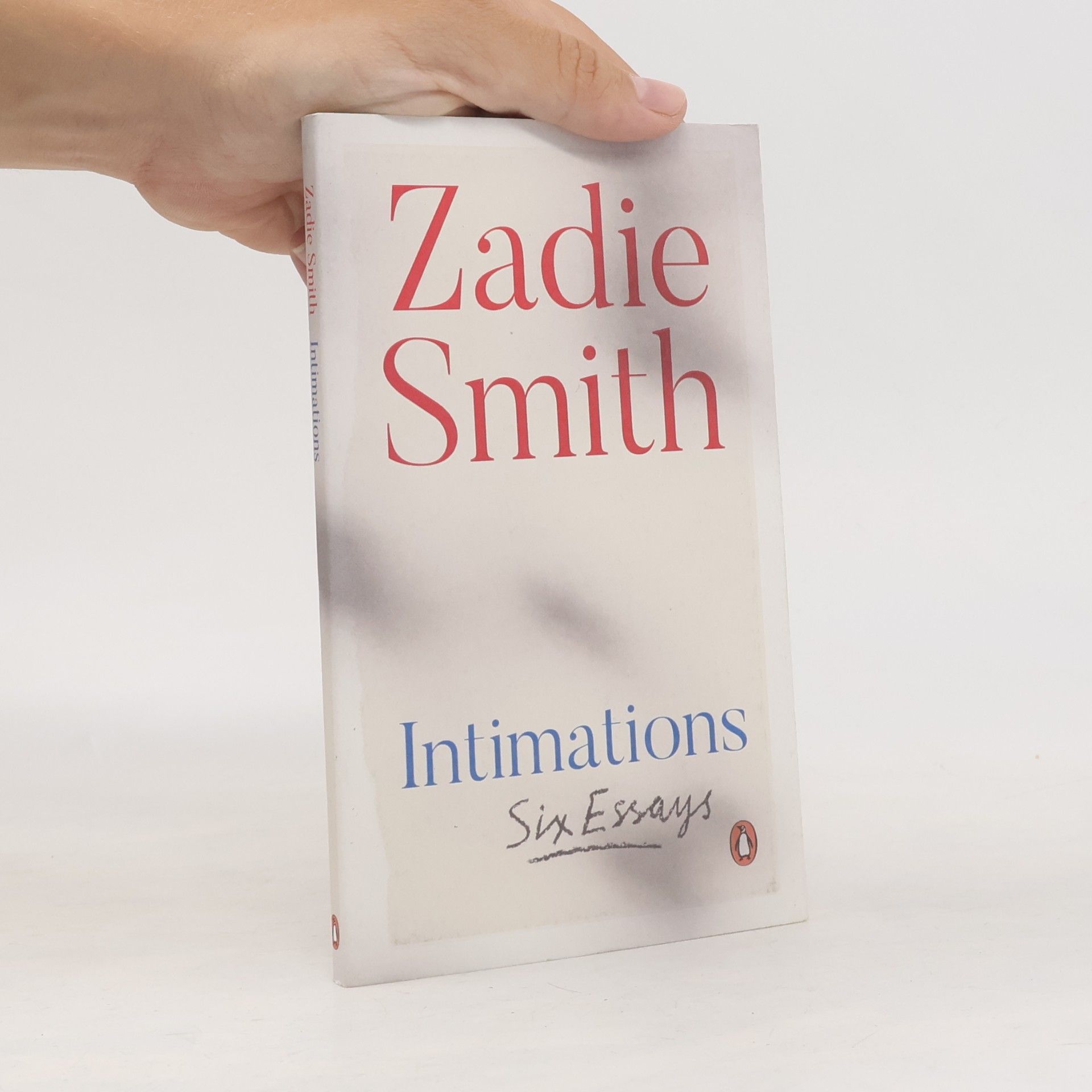 Zadie Smith Intimations : six essays