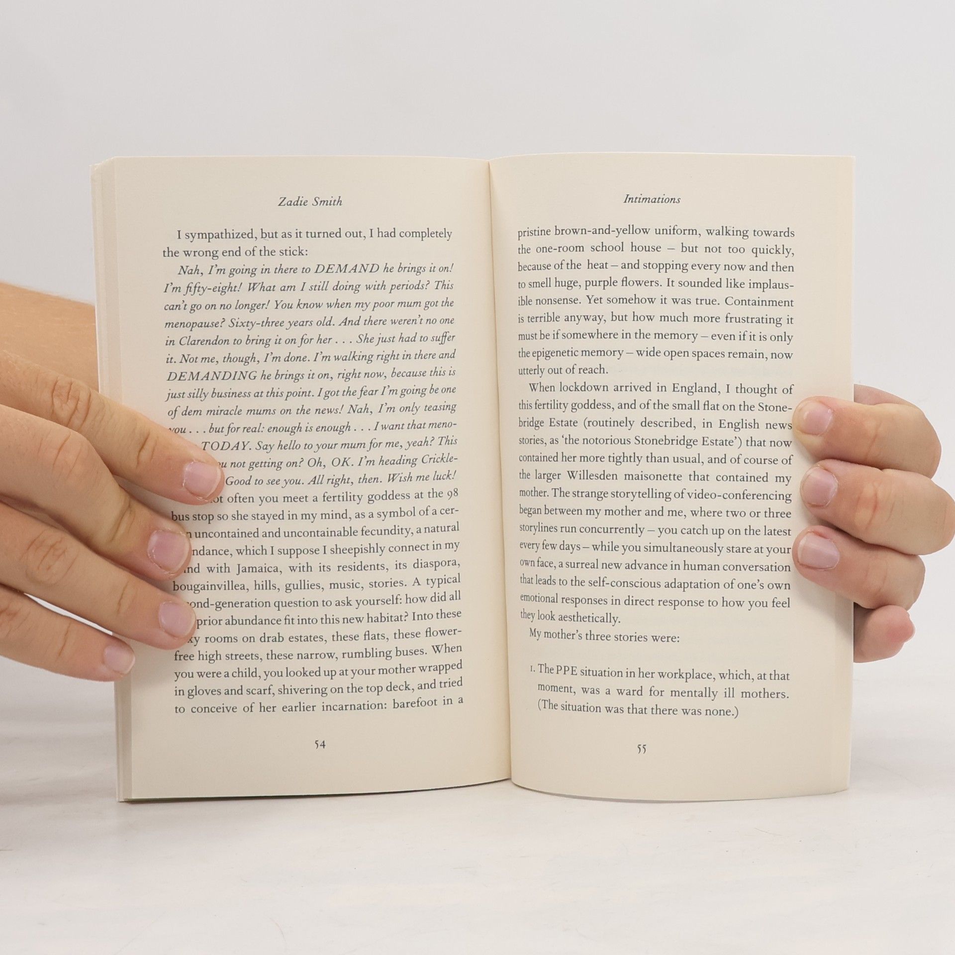 Zadie Smith Intimations : six essays