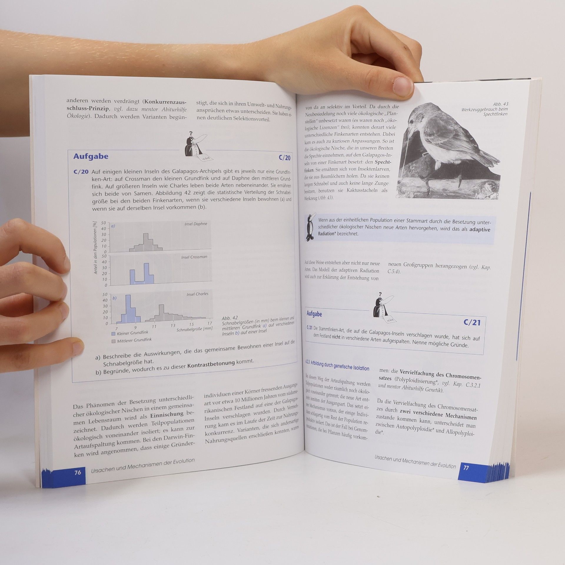 Reiner Kleinert Evolutionsbiologie