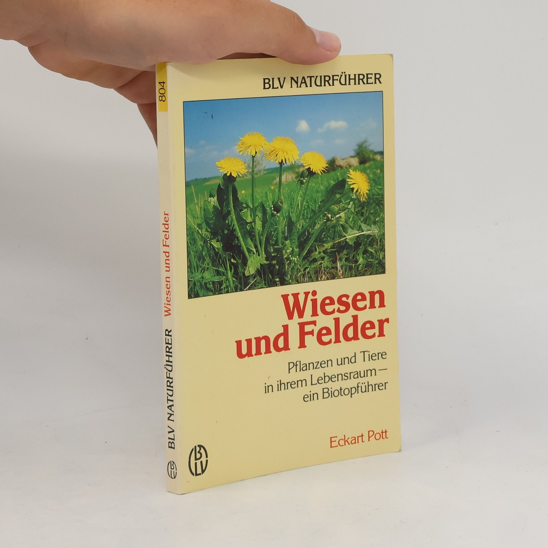 Eckart Pott Wiesen und Felder