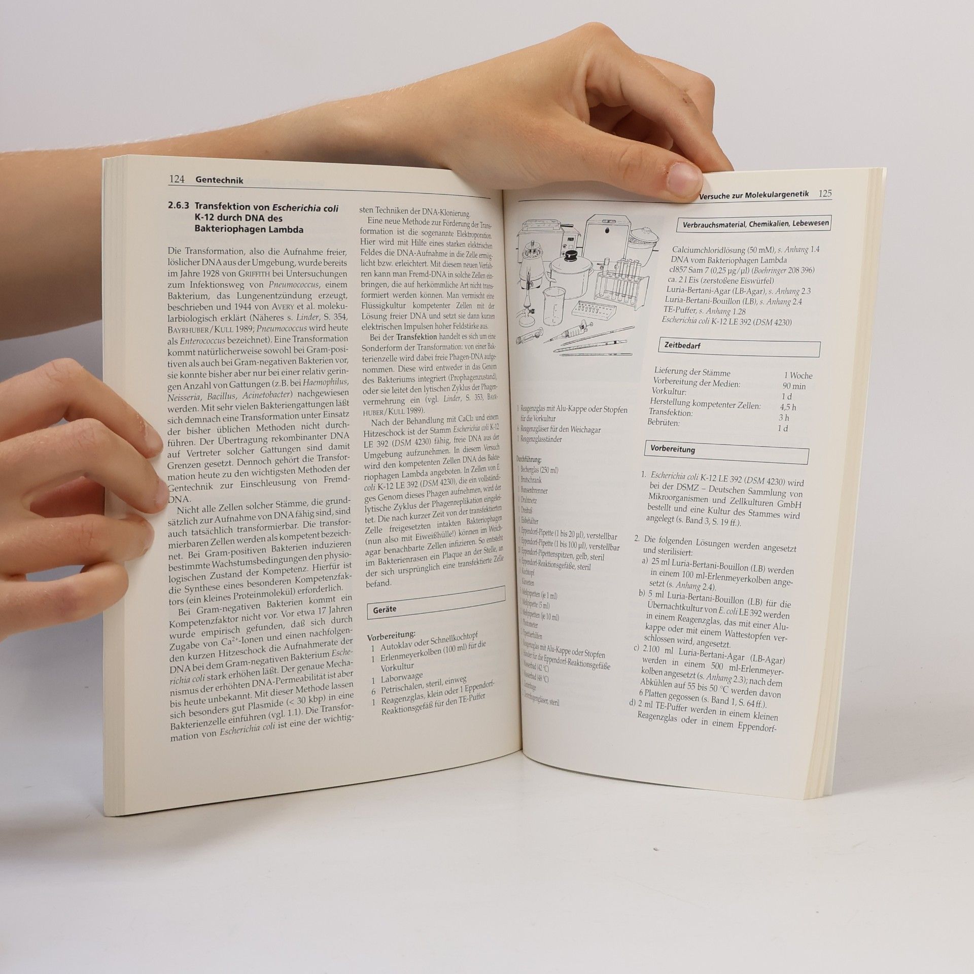 Horst Bayrhuber Handbuch der praktischen Mikrobiologie und Biotechnik