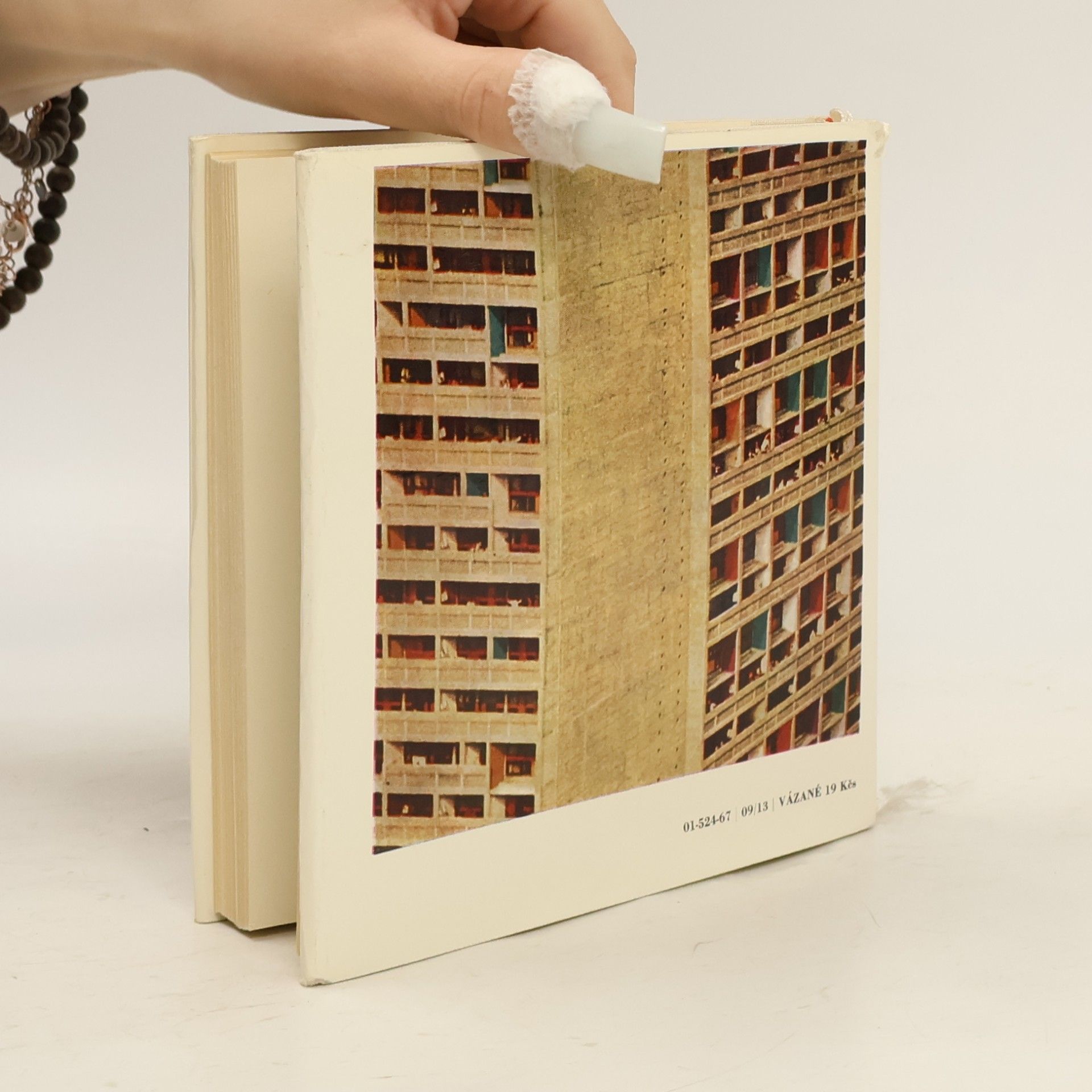 Sophie Daria Le Corbusier. Sociolog urbanismu