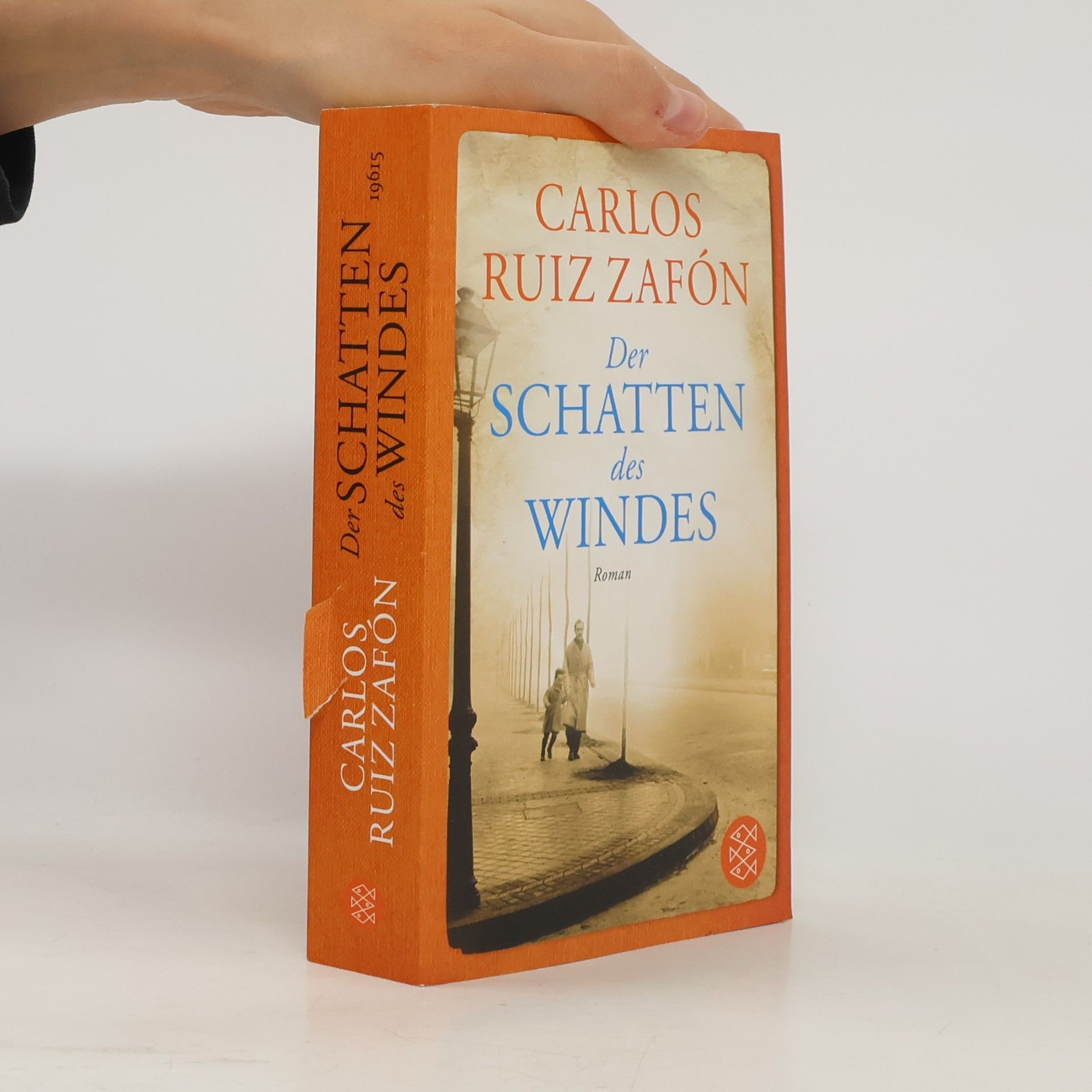 Der Schatten des Windes
