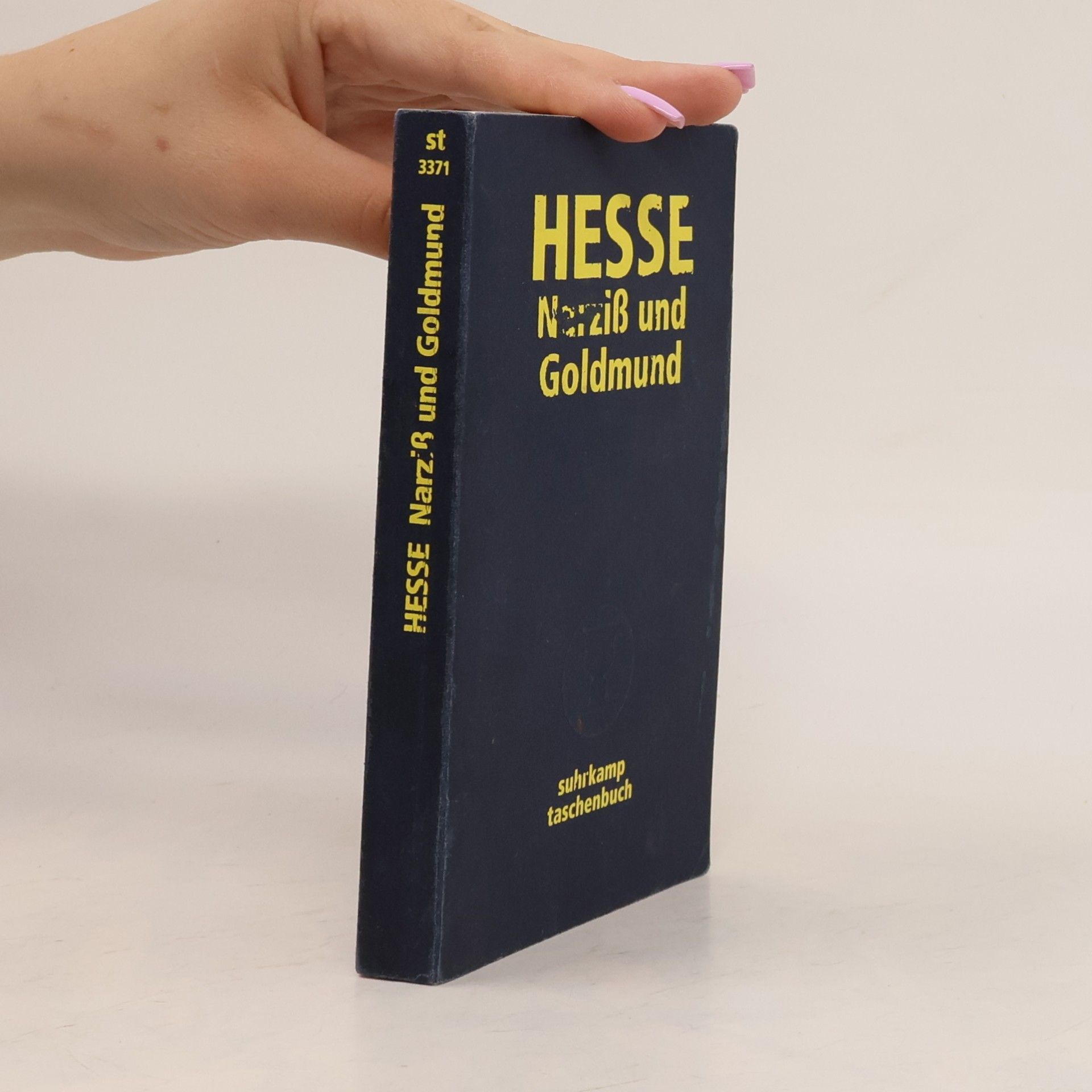 Hermann Hesse Narziß und Goldmund