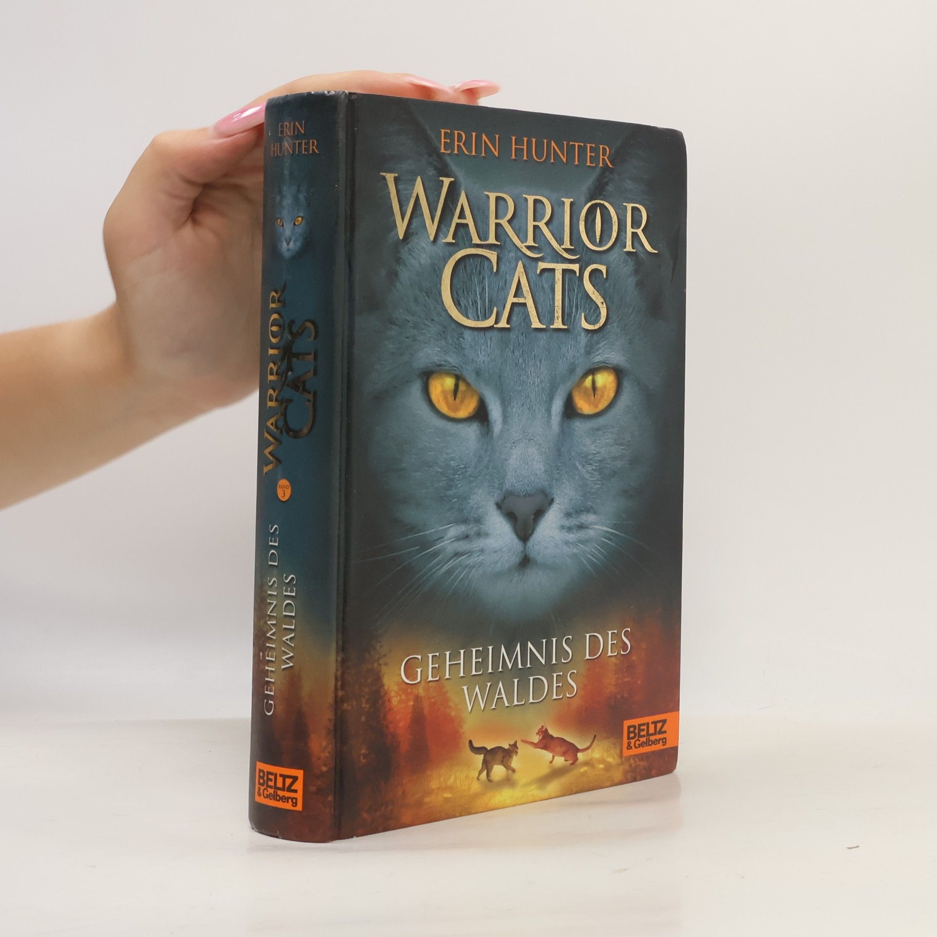 Erin Hunter Warrior Cats. Geheimnis des Waldes.