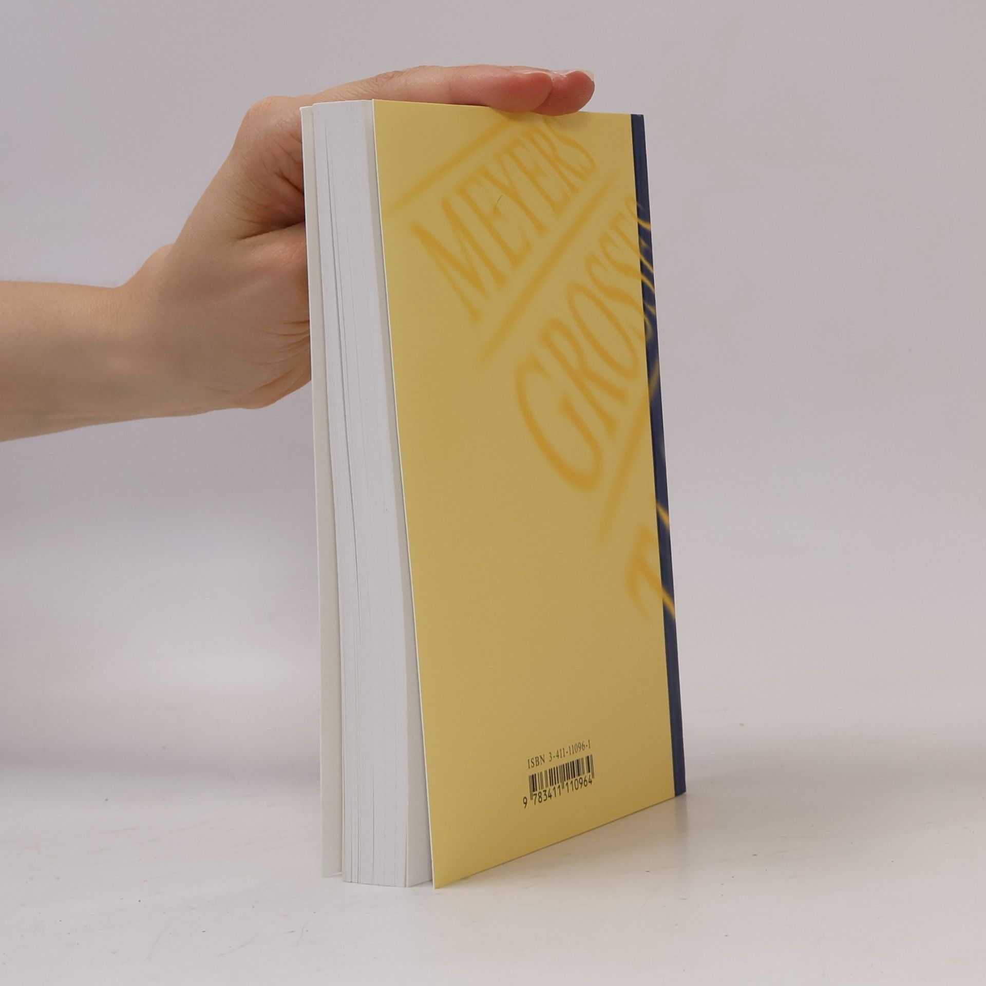 Autorenkollektiv Meyers Grosses Taschen Lexikon in 24 Bänden 9. Gro-Hob