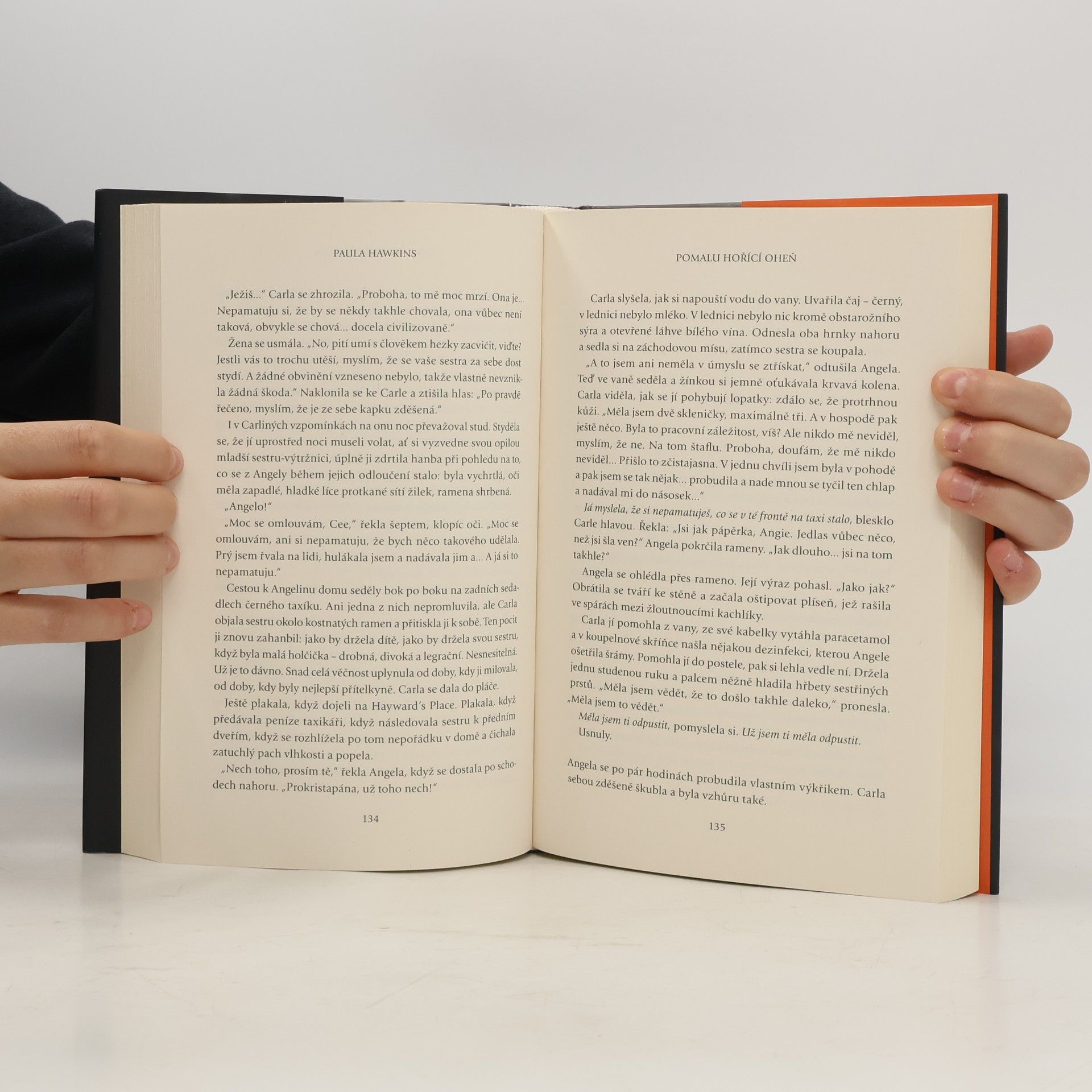 Paula Hawkins Pomalu hořící oheň