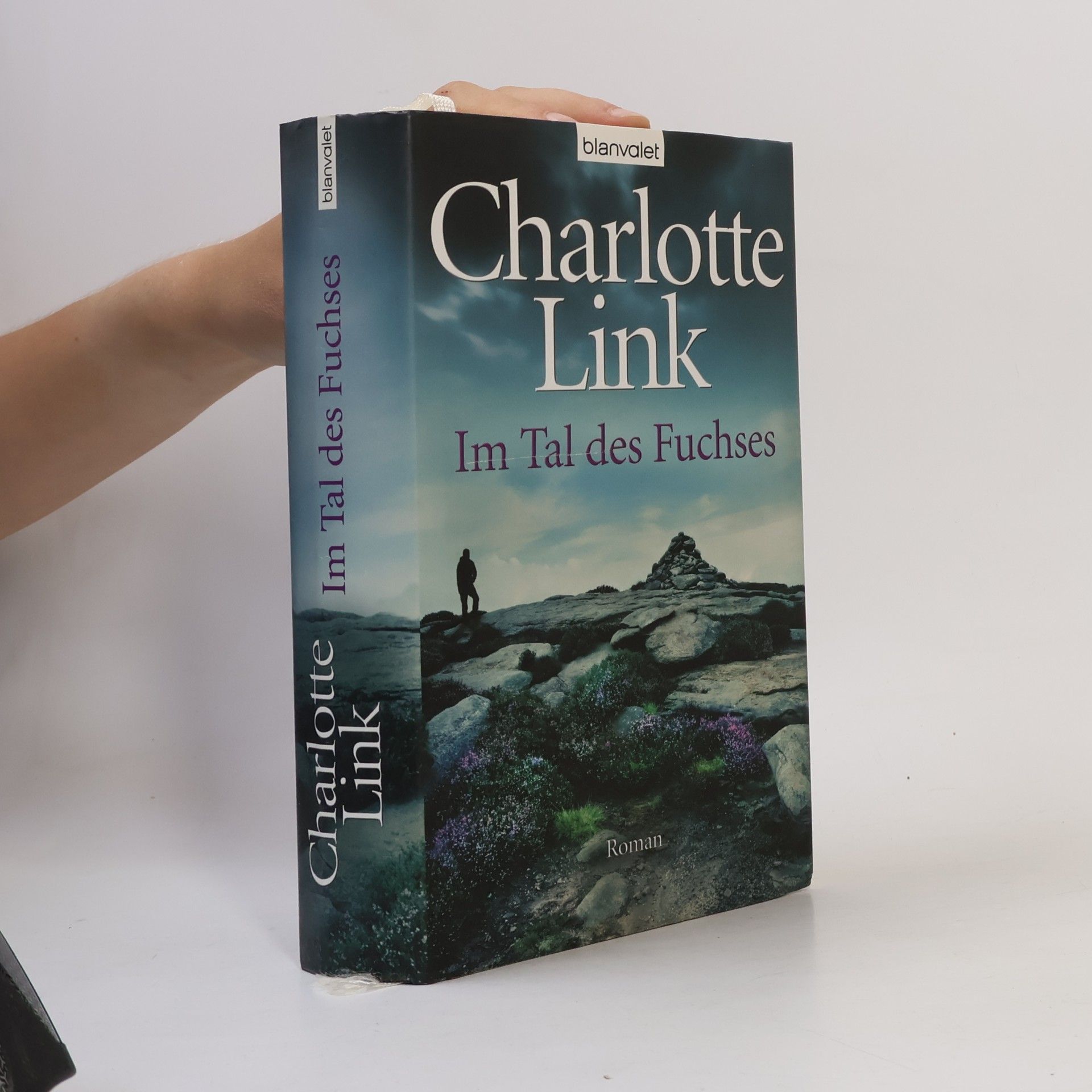 Charlotte Link Im Tal des Fuchses