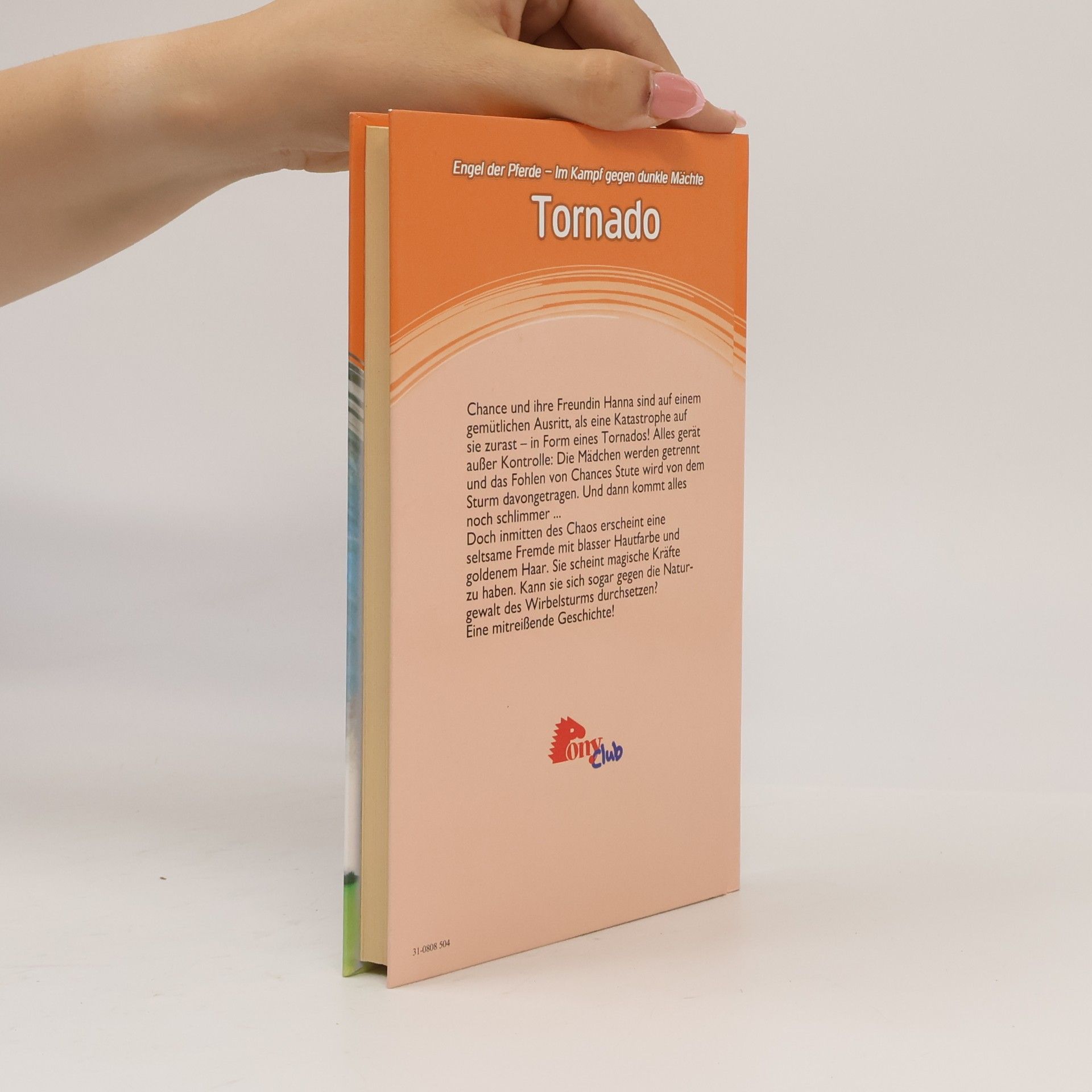 Angela Dorsey Engel der Pferde. 11. Tornado