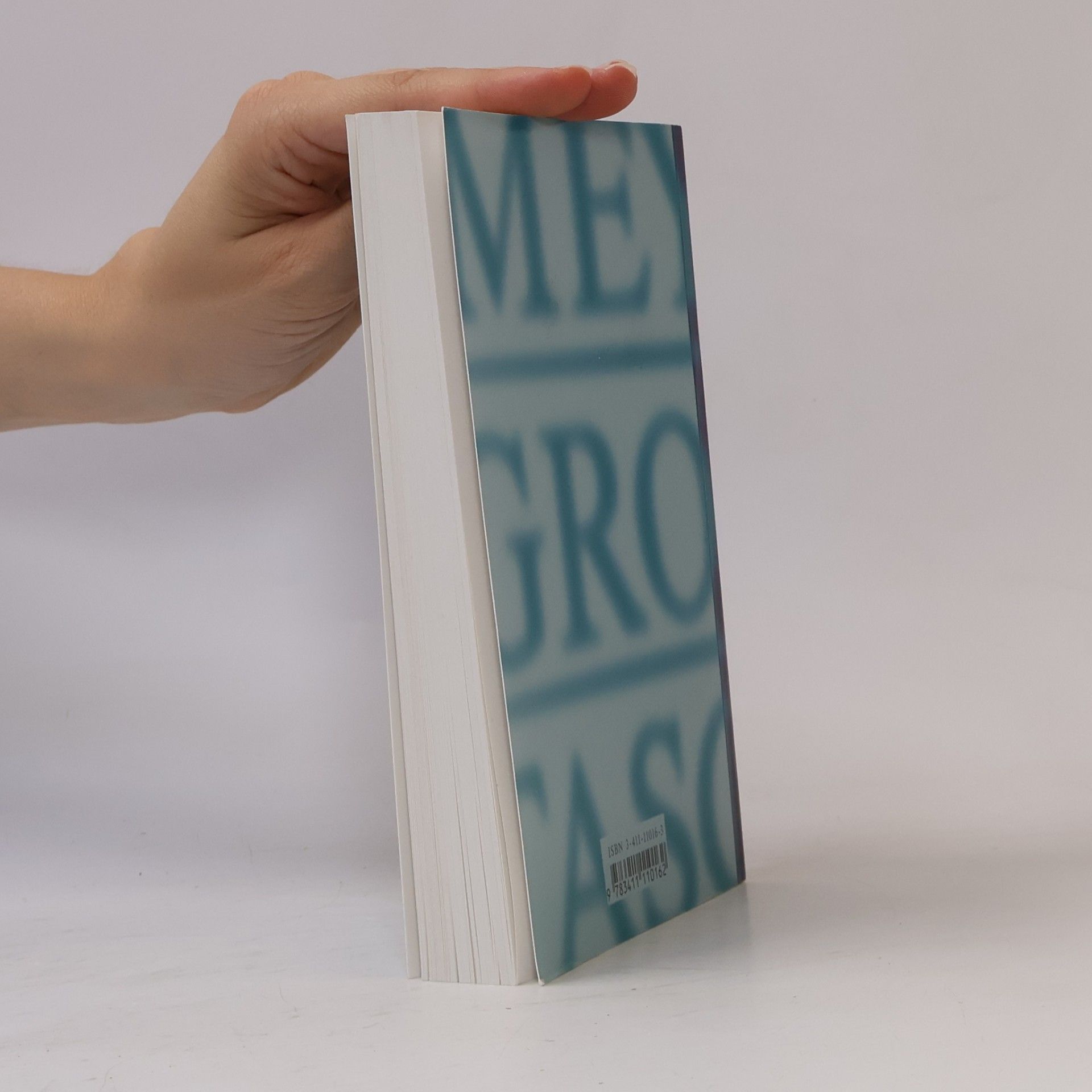 Marianne Strzysch-Siebeck Meyers Grosses Taschenlexikon