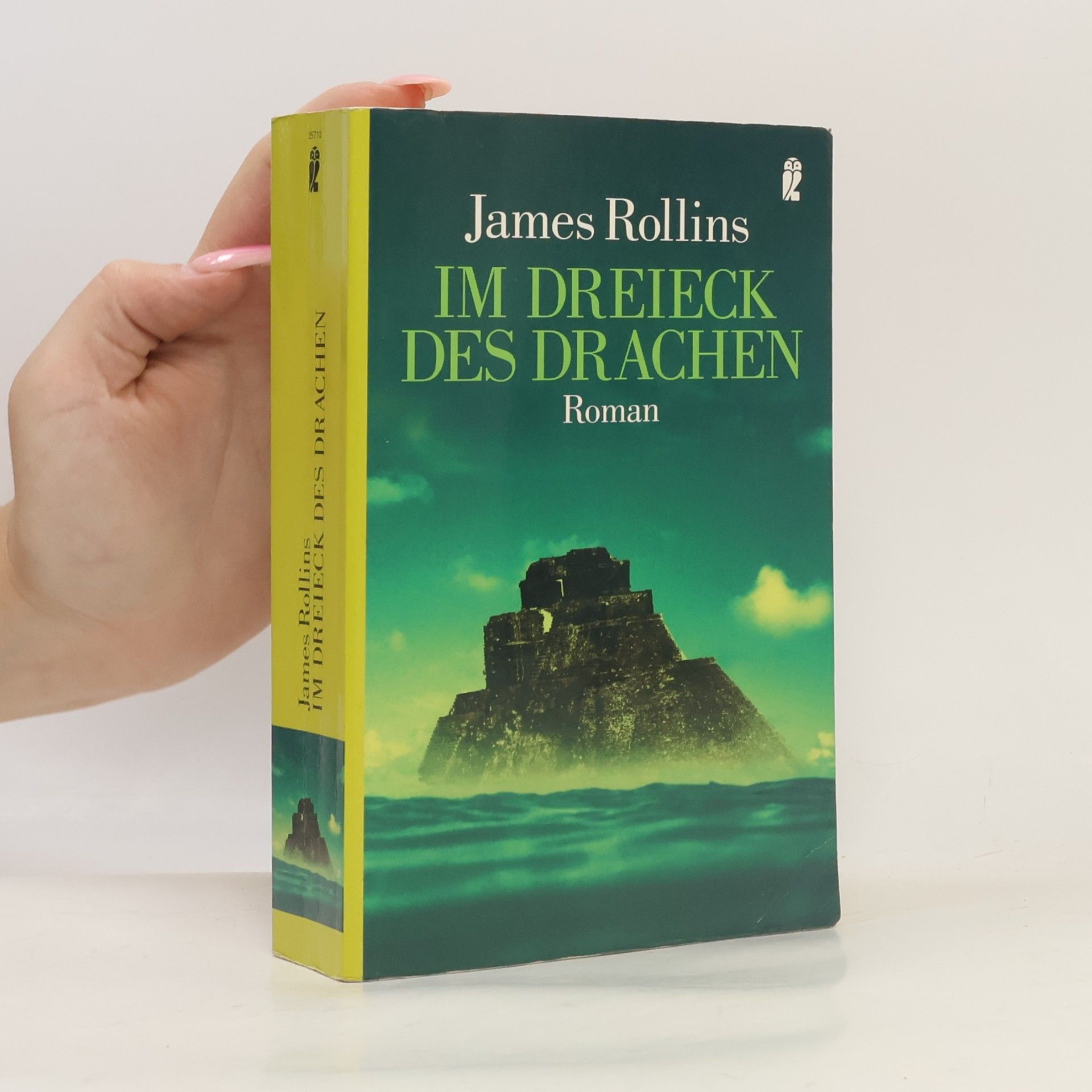 James Rollins Im Dreieck des Drachen