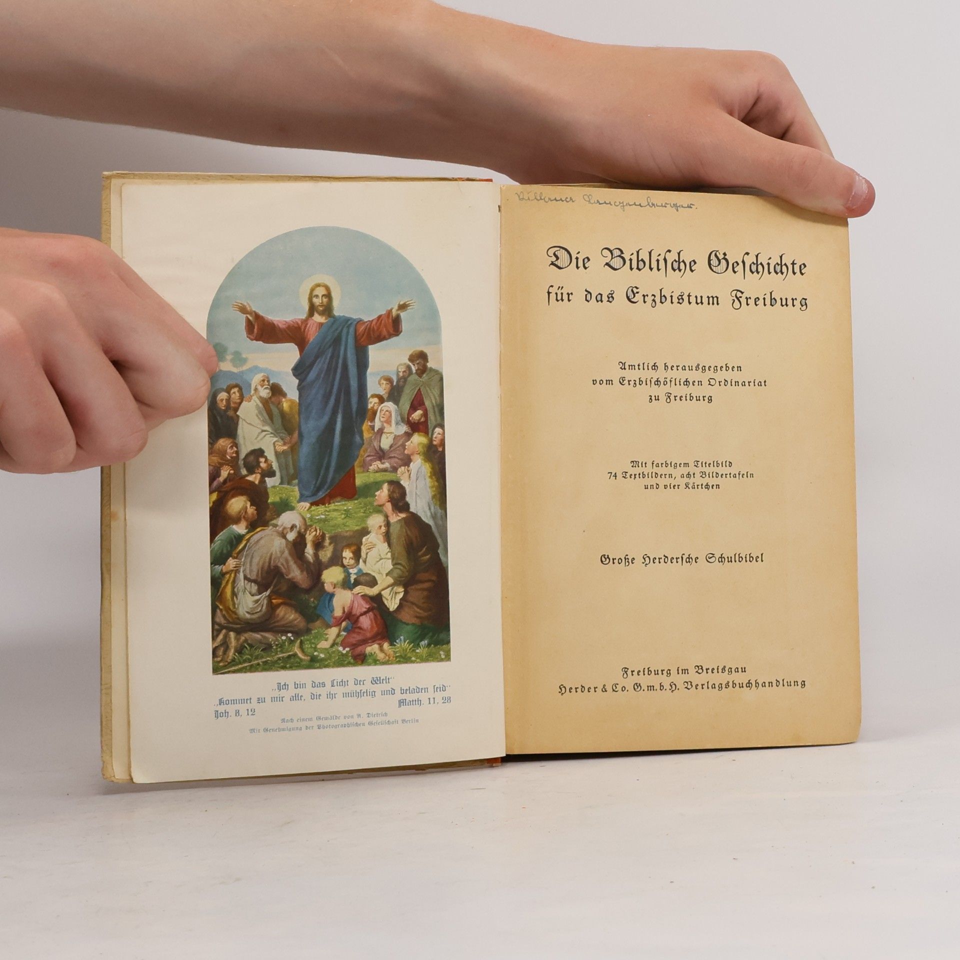 Various authors Die Biblische Geschichte