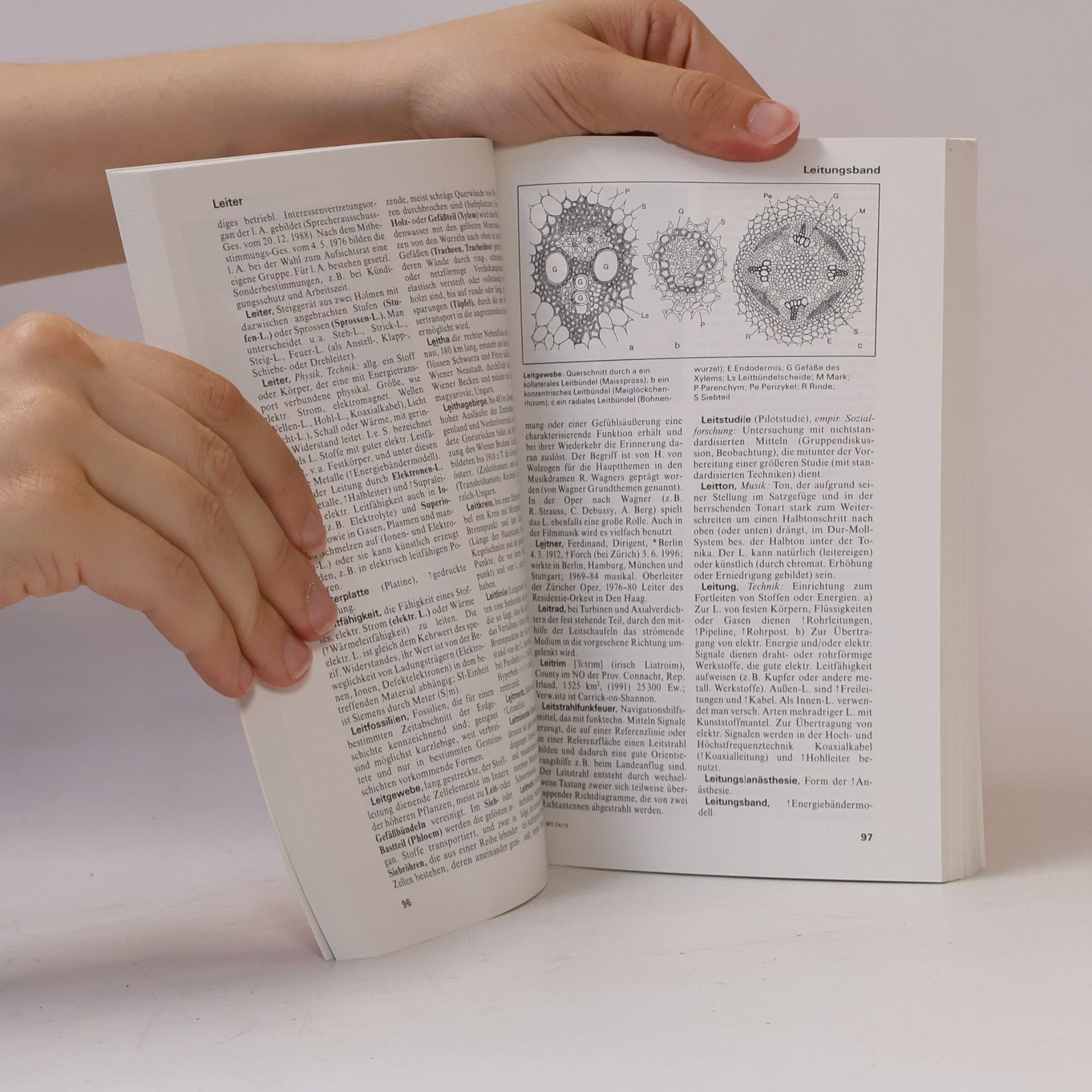 Marianne Strzysch-Siebeck Meyers Grosses Taschen Lexikon in 24 Bänden 13. Lane-Mag