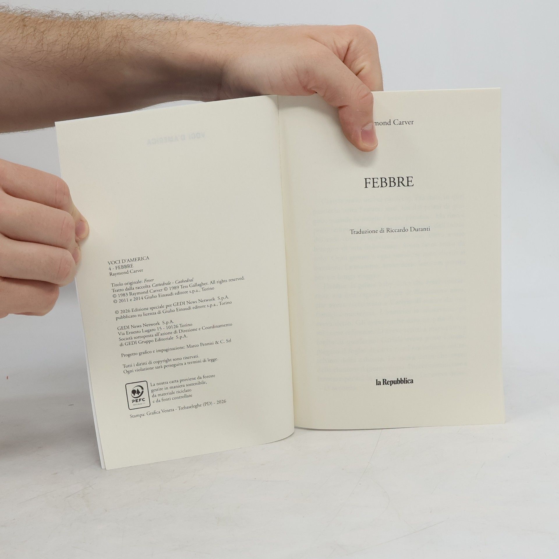 Raymond Carver Febbre
