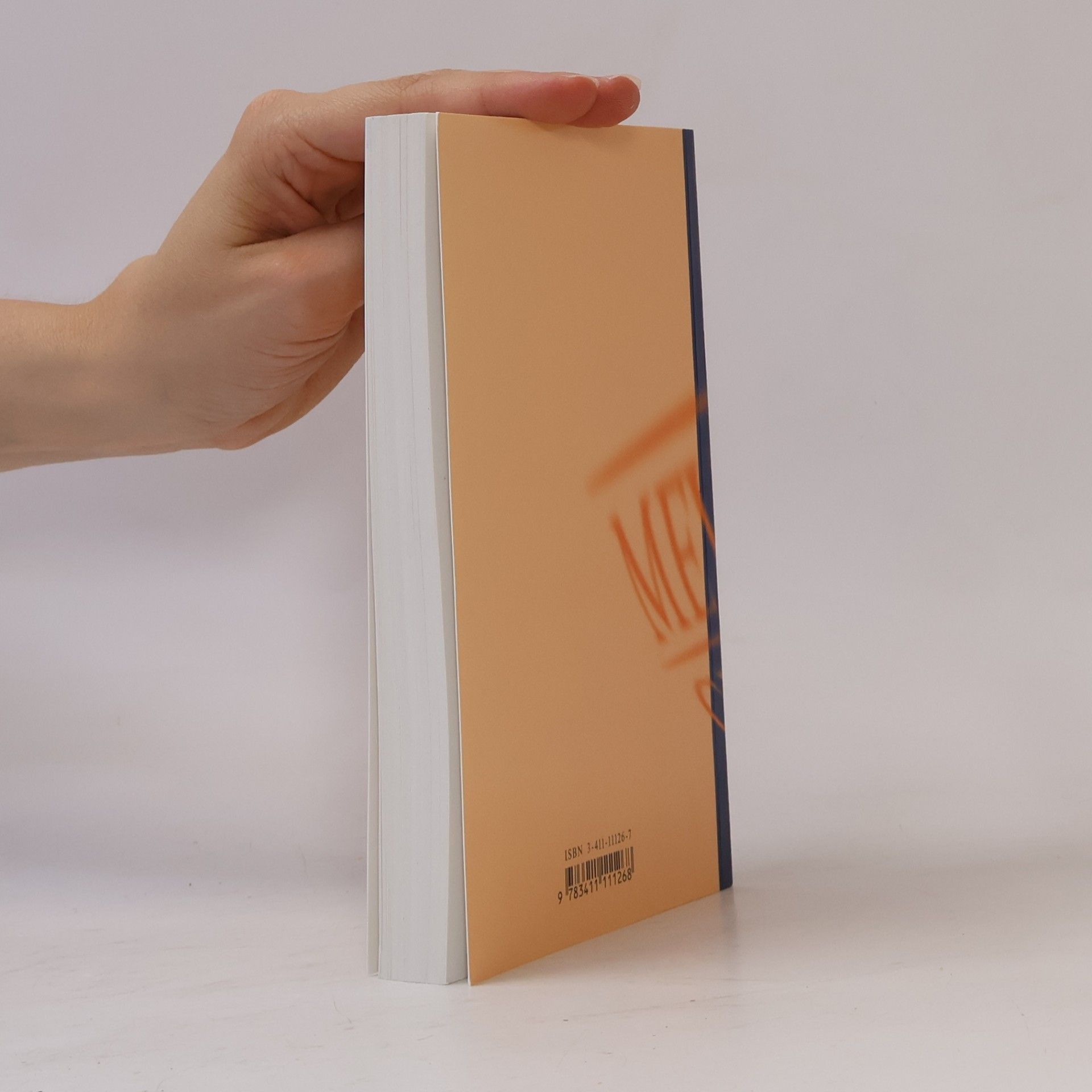 Marianne Strzysch-Siebeck Meyers Grosses Taschen Lexikon in 24 Bänden 12. Knu - Land