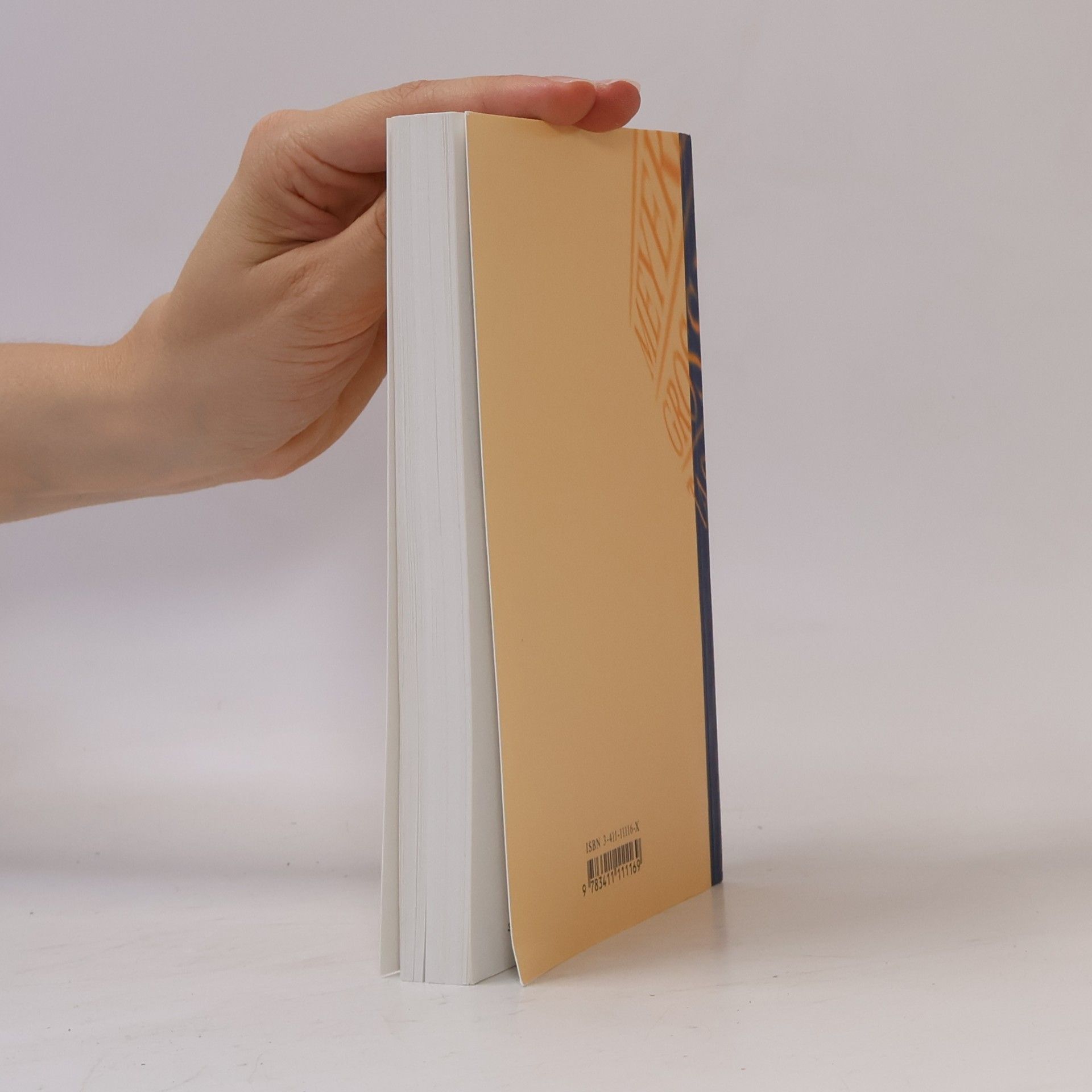 Marianne Strzysch-Siebeck Meyers Grosses Taschen Lexikon in 24 Bänden 11. Jep-Kno