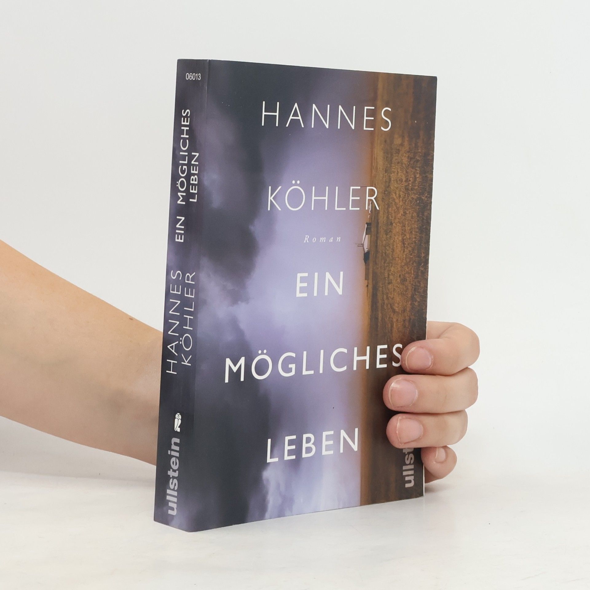 Hannes Köhler Ein mögliches Leben