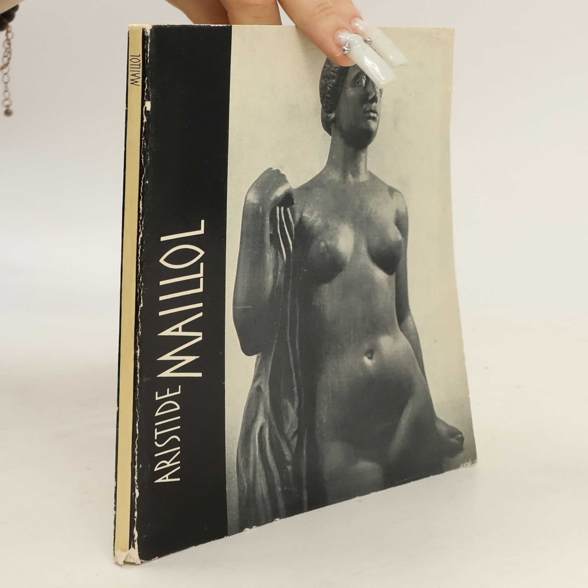 Jiří Mašín Aristide Maillol