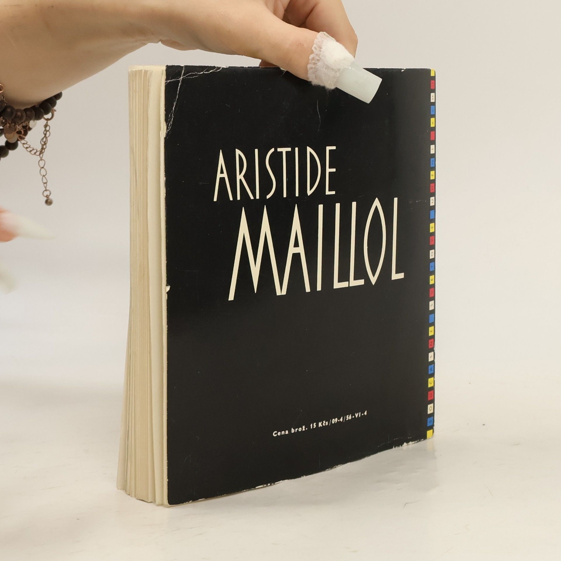Jiří Mašín Aristide Maillol