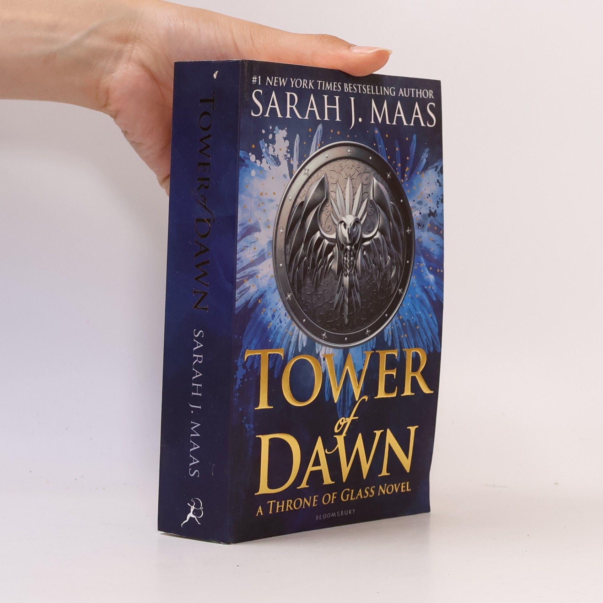 Sarah J. Maas Tower of dawn