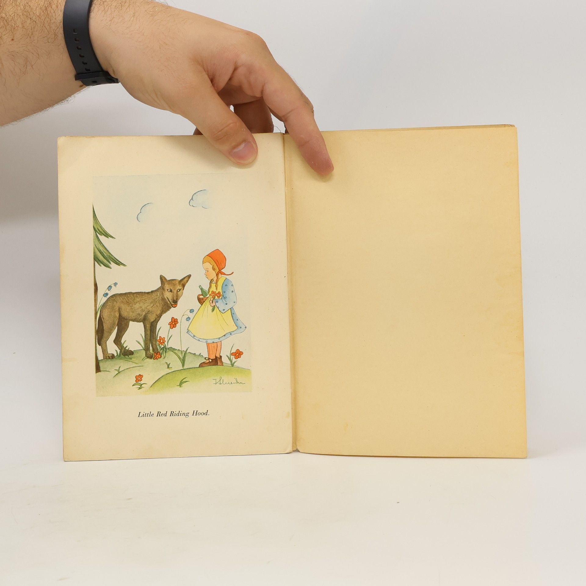 Ilse Schneider Stories of Animals in Fairyland and Other Stories