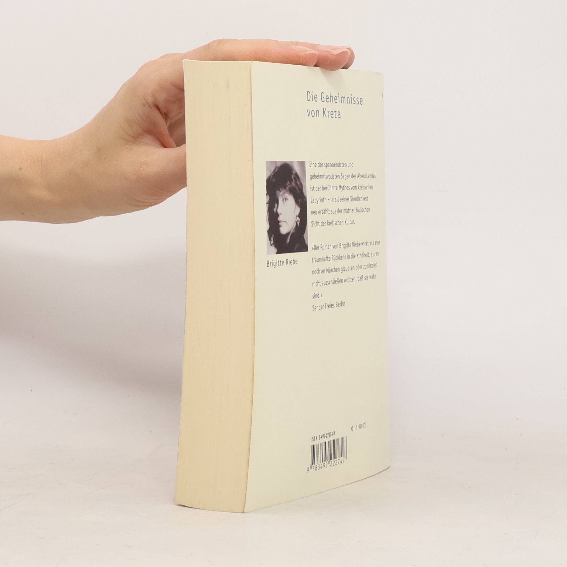 Brigitte Riebe Palast der blauen Delphine