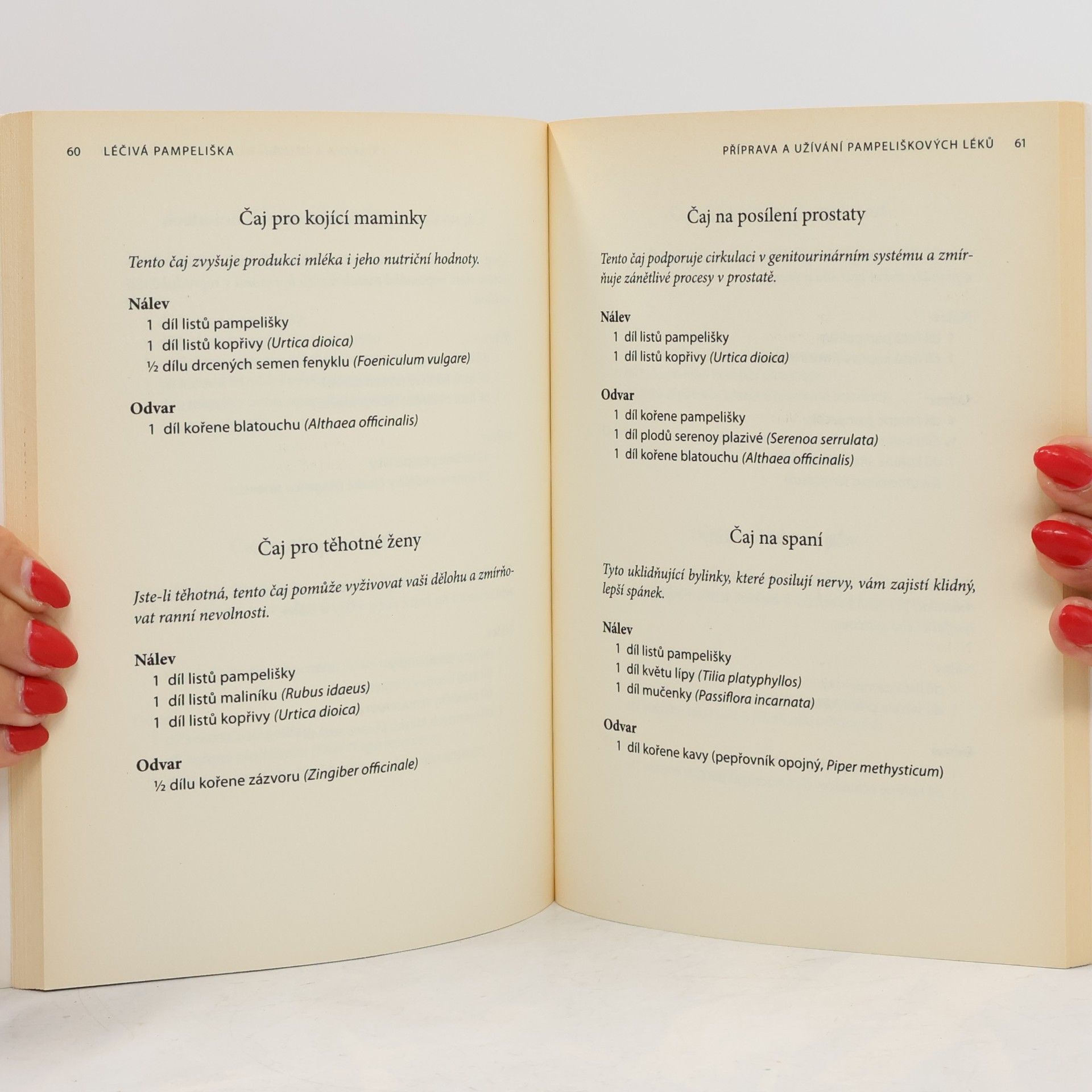 Brigitte Mars Léčivá pampeliška : léky a receptury pro detoxikaci, výživu, stimulaci