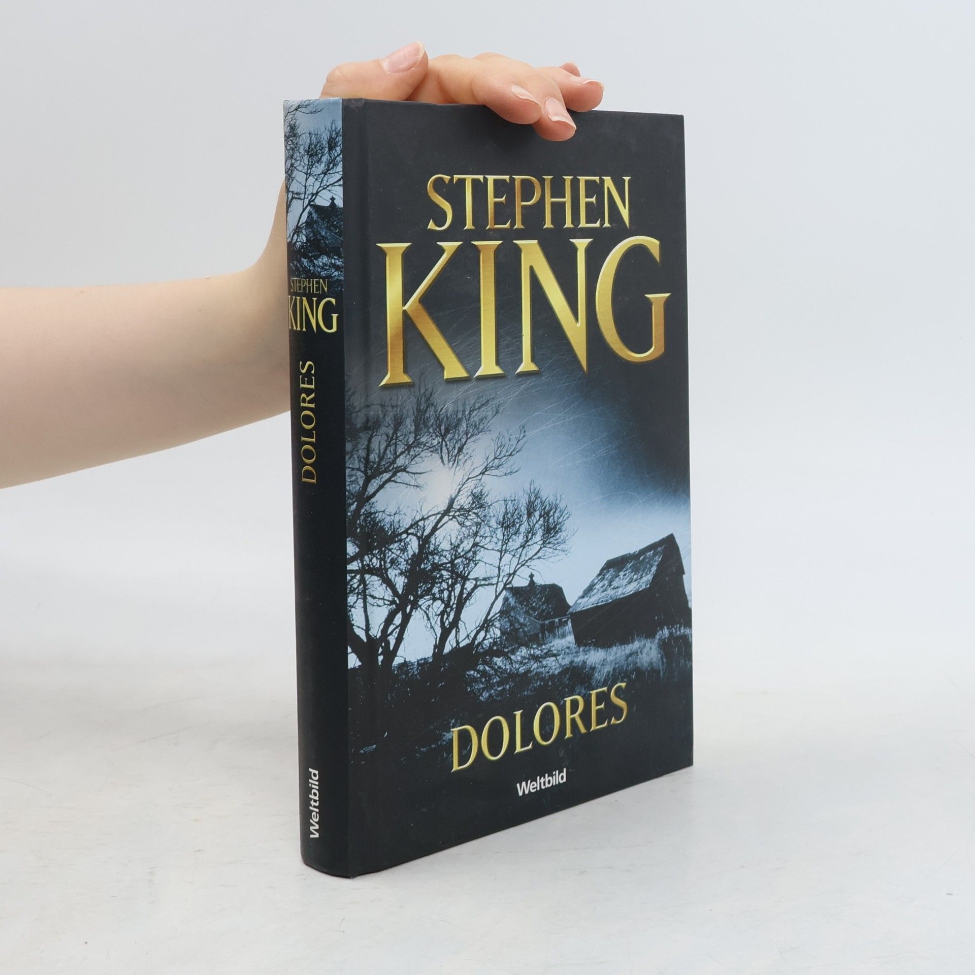 Stephen King Dolores