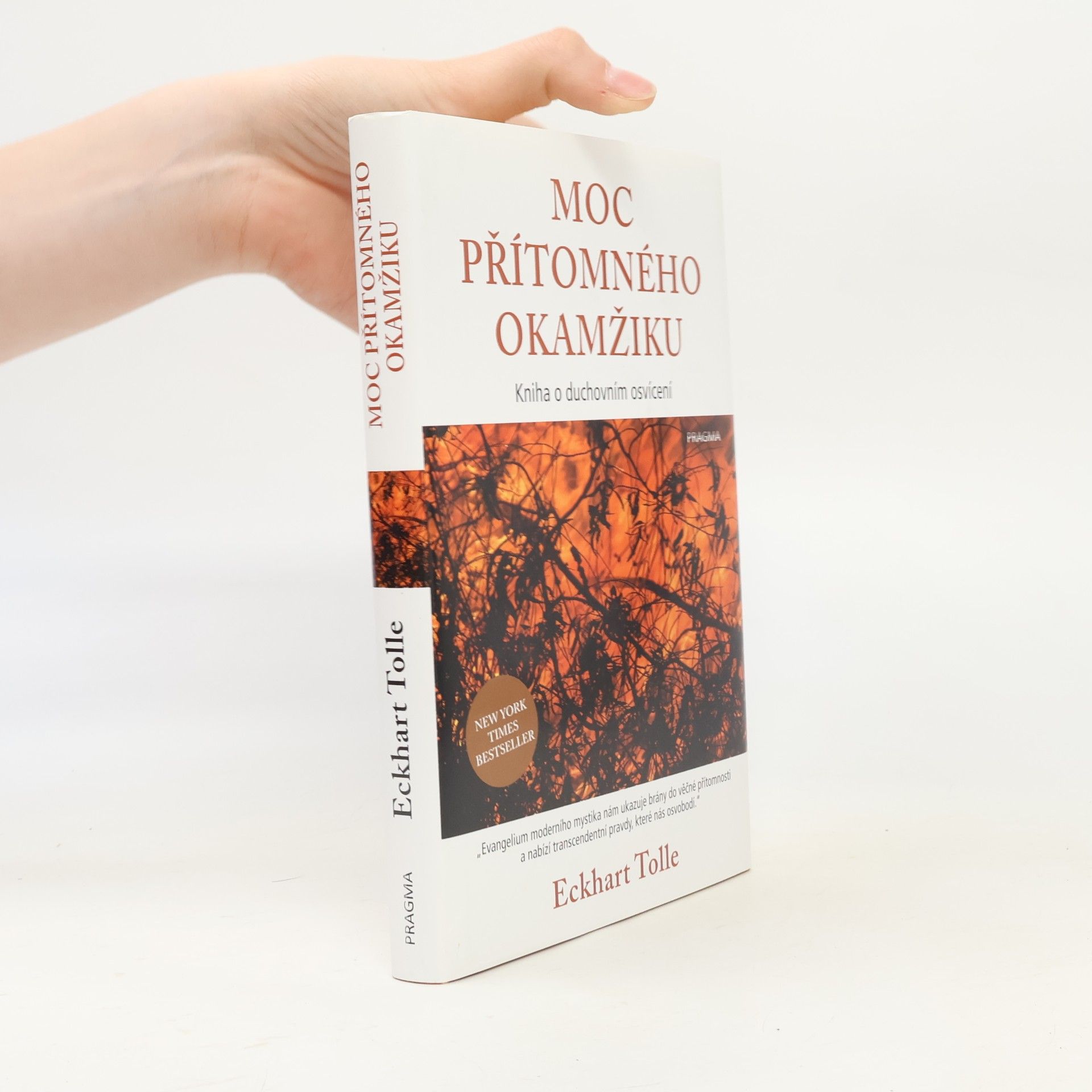 Eckhart Tolle Moc přítomného okamžiku