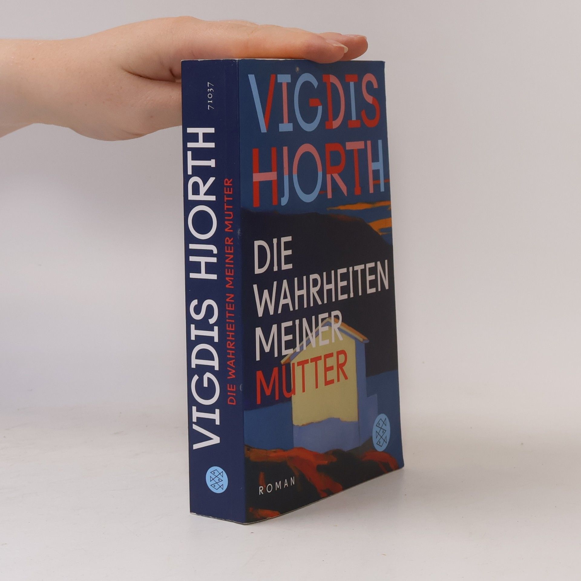 Vigdis Hjorth Die Wahrheiten meiner Mutter