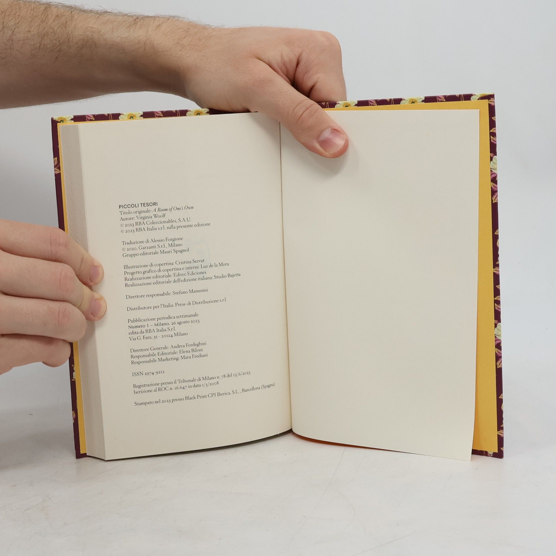 Virginia Woolf Una stanza tutta per sé