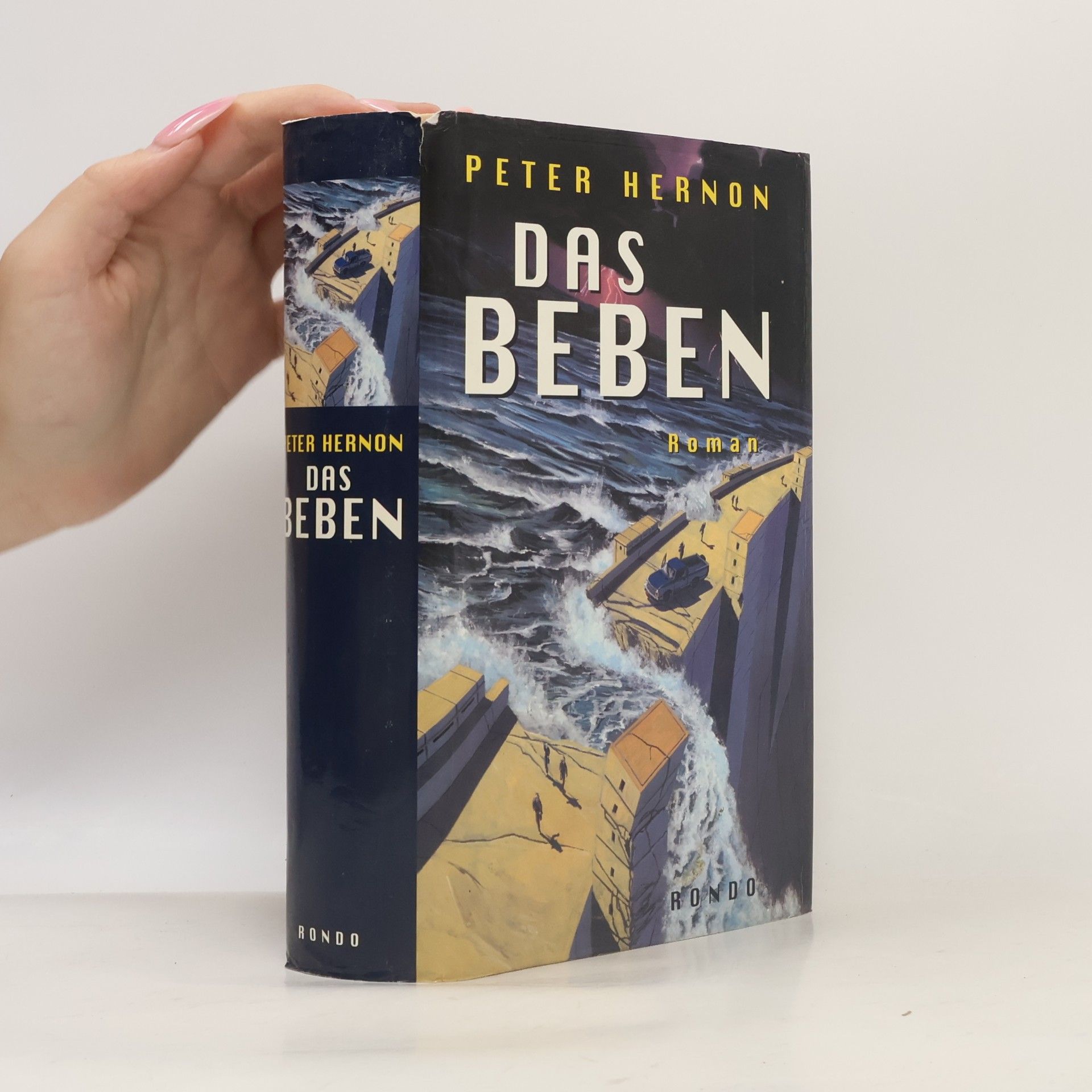 Peter Hernon Das Beben