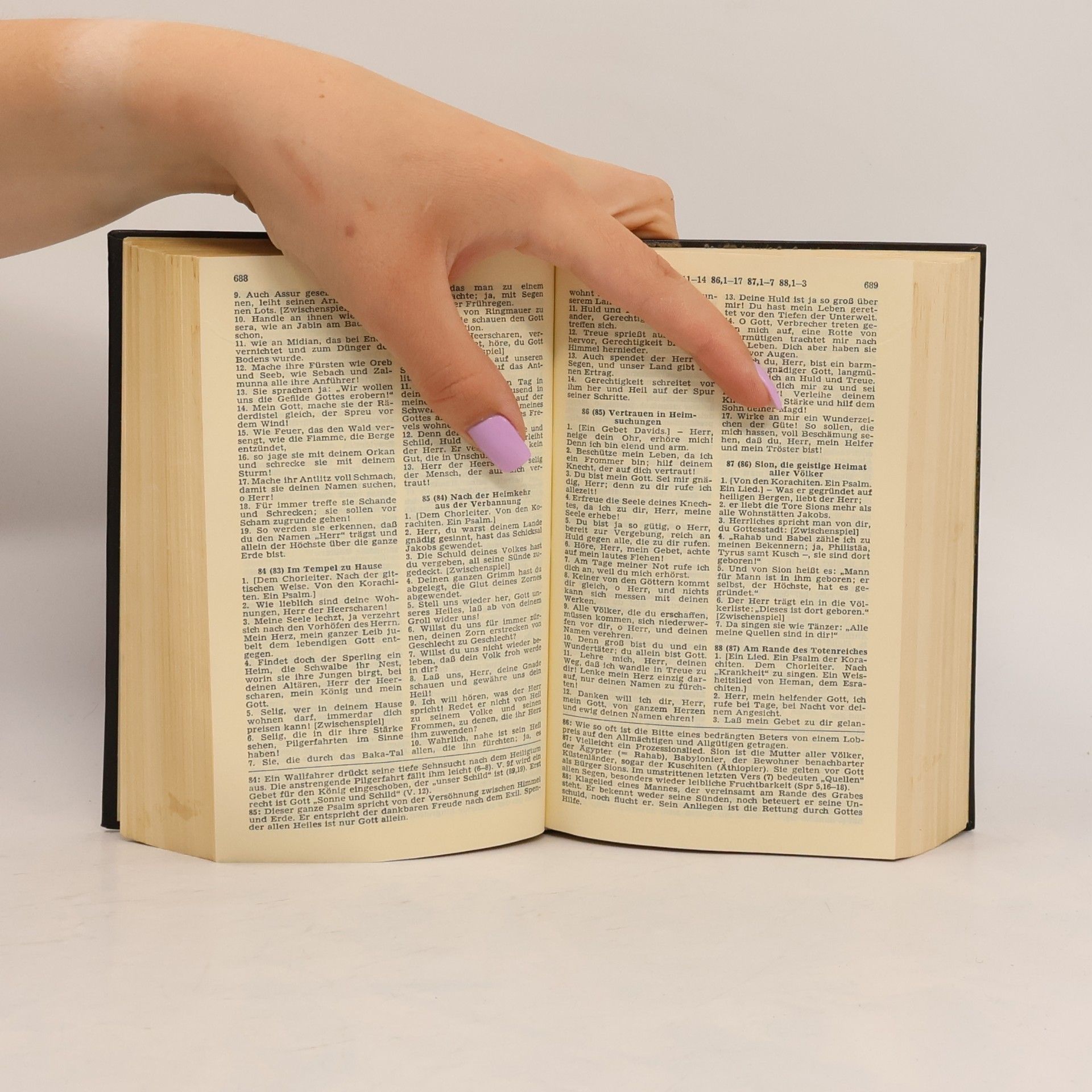 Kolektiv autorů Die heilige Schrift