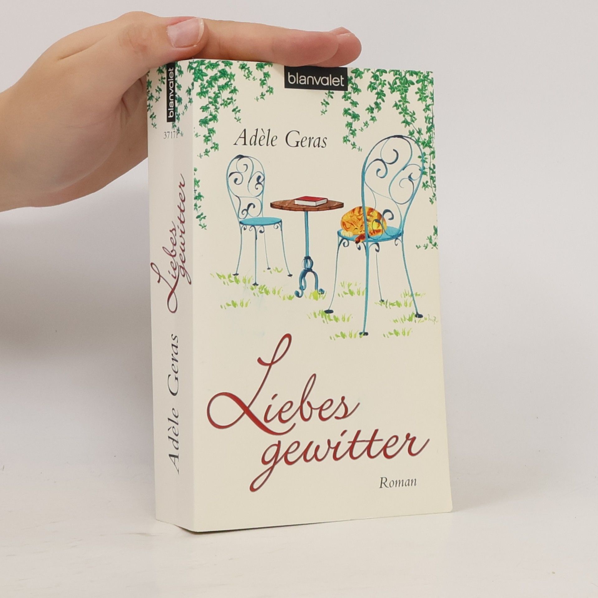 Adèle Geras Liebesgewitter. Roman