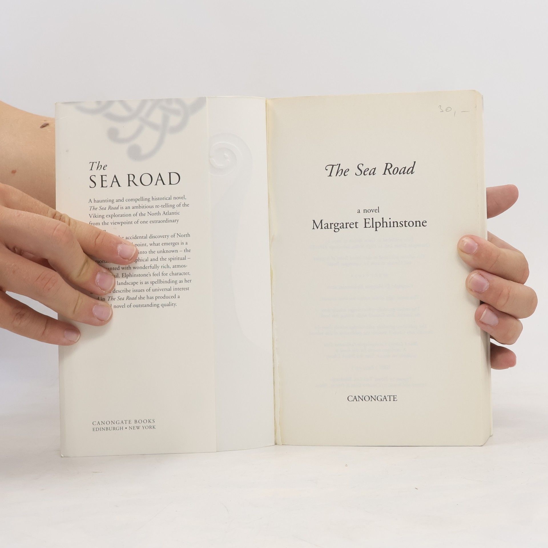 Margaret Elphinstone The Sea Road