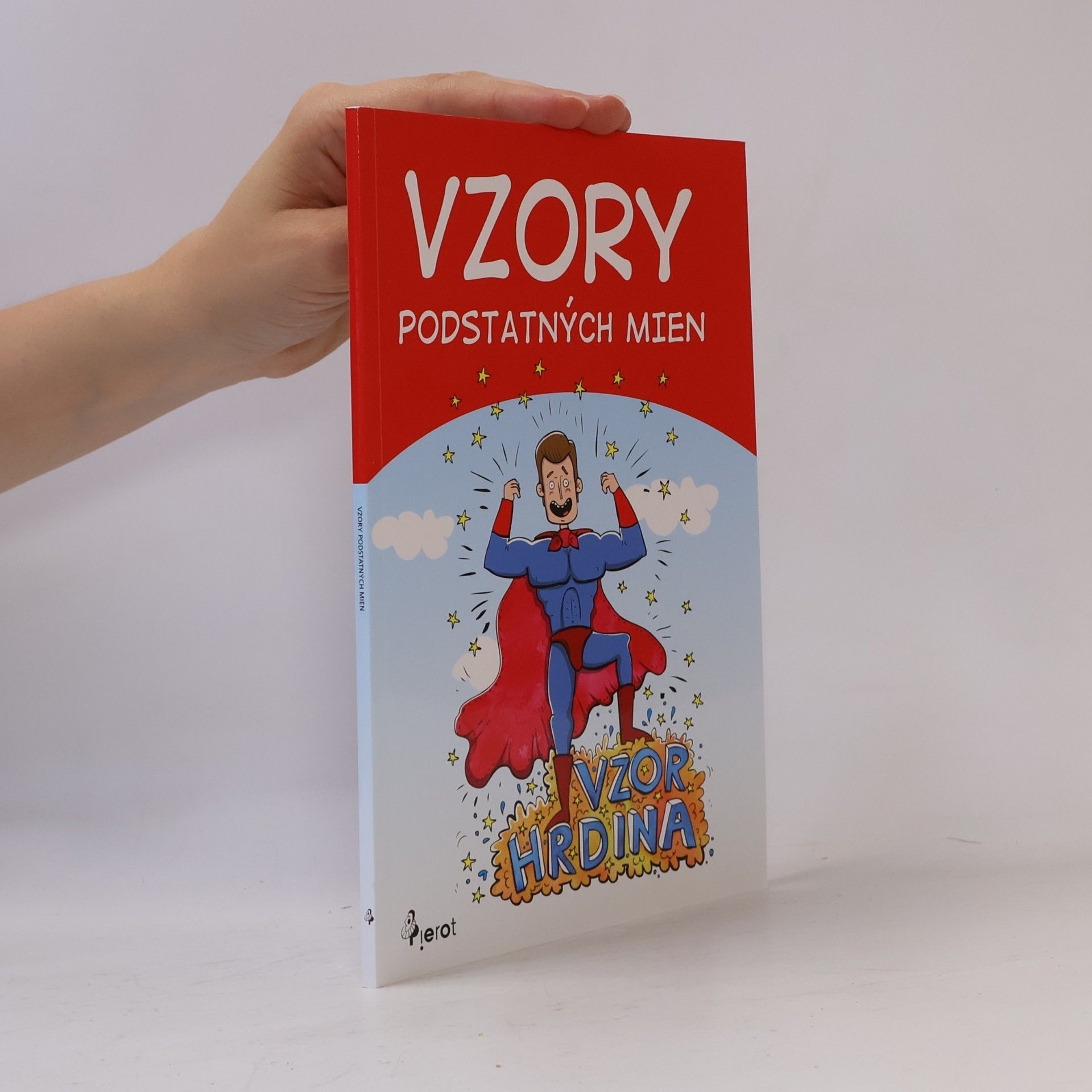 Ľubica Kohániová Vzory podstatných mien