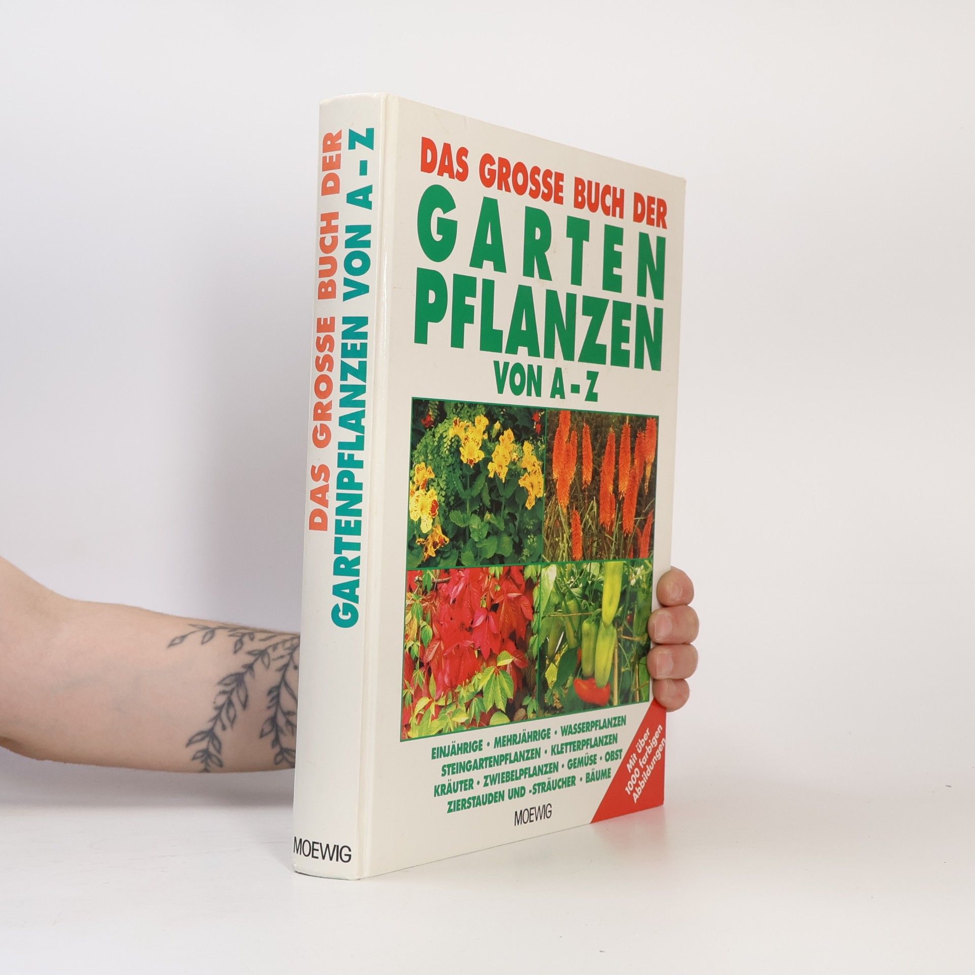 Autorenkollektiv Das grosse Buch der Gartenpflanzen von A - Z