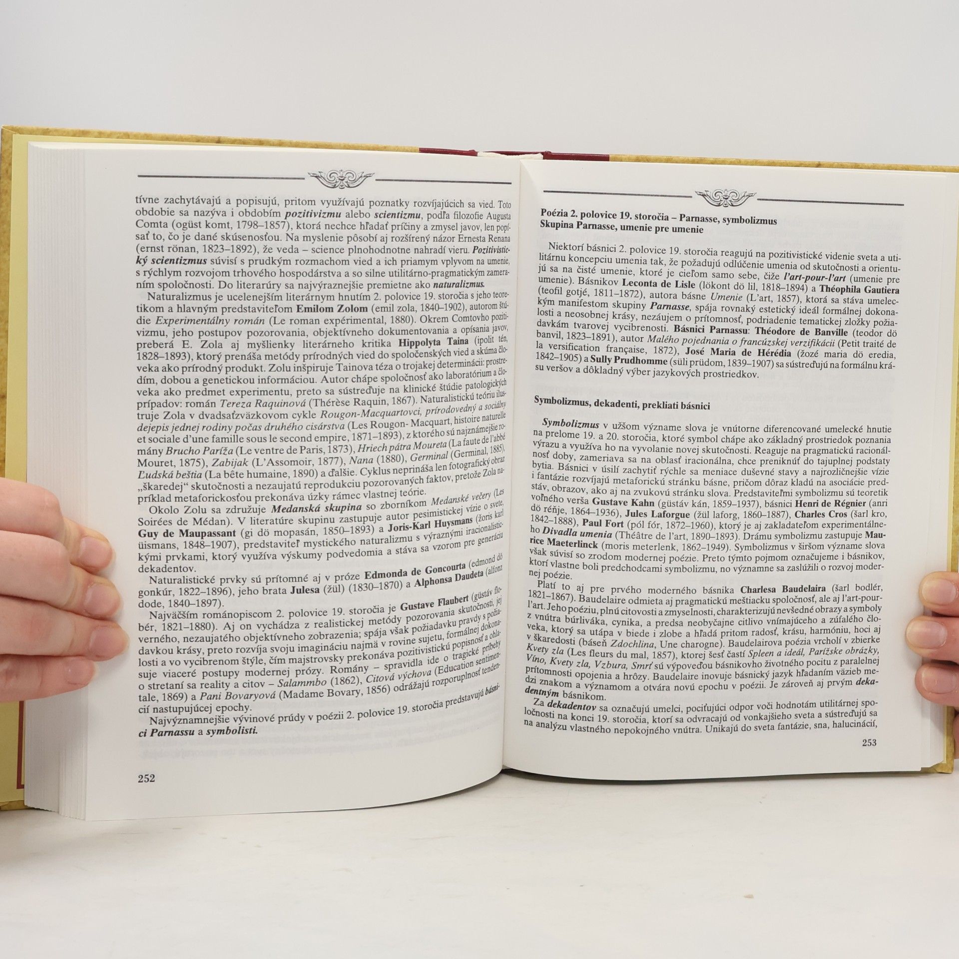 Kolektív autorov Rukoväť literatúry