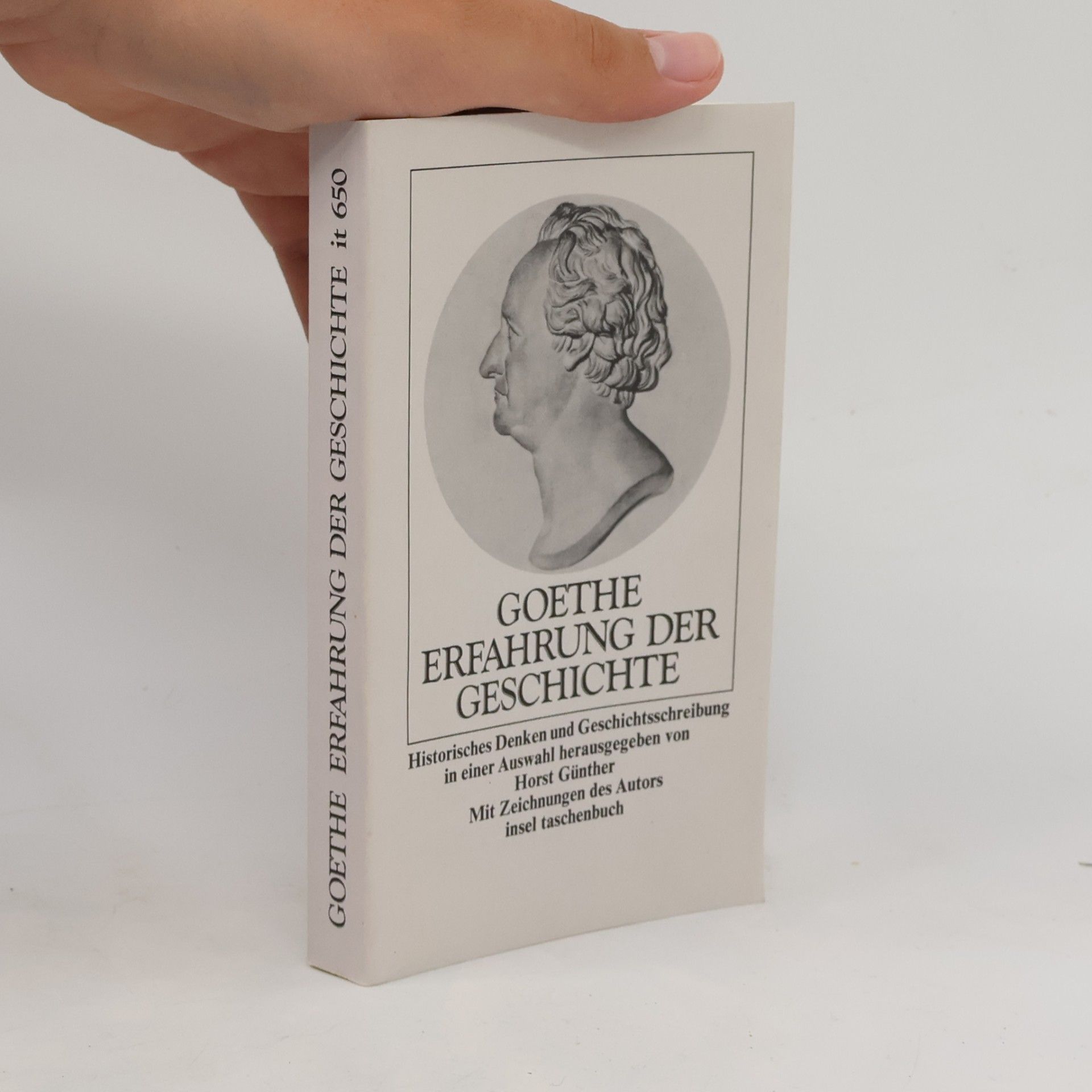 Johann Wolfgang von Goethe Erfahrung der Geschichte