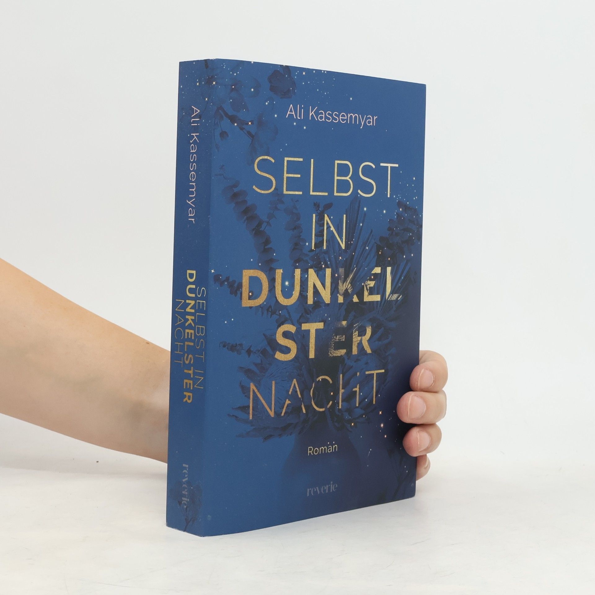 Ali Kassemyar Selbst in dunkelster Nacht