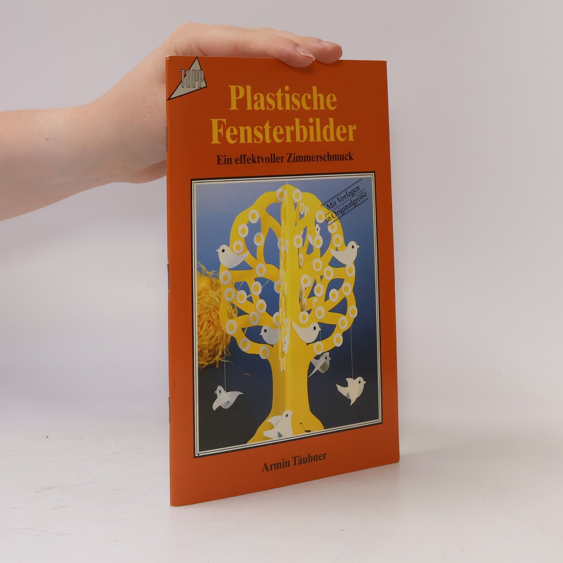 Autorenkollektiv Plastische Fensterbilder