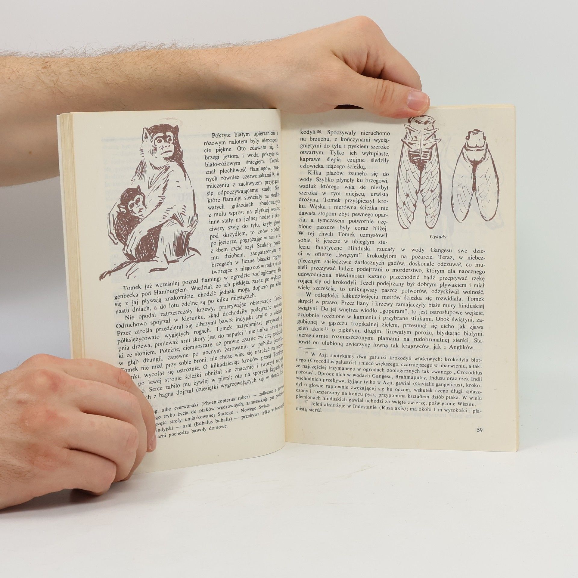 Alfred Szklarski Tomek na tropach Yeti