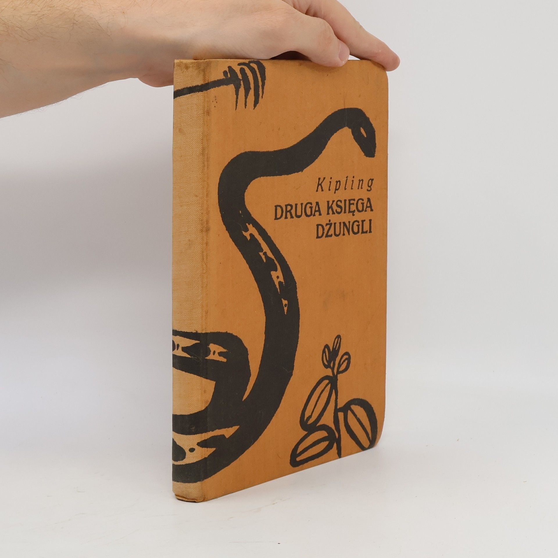 Rudyard Kipling Druga księga dżungli