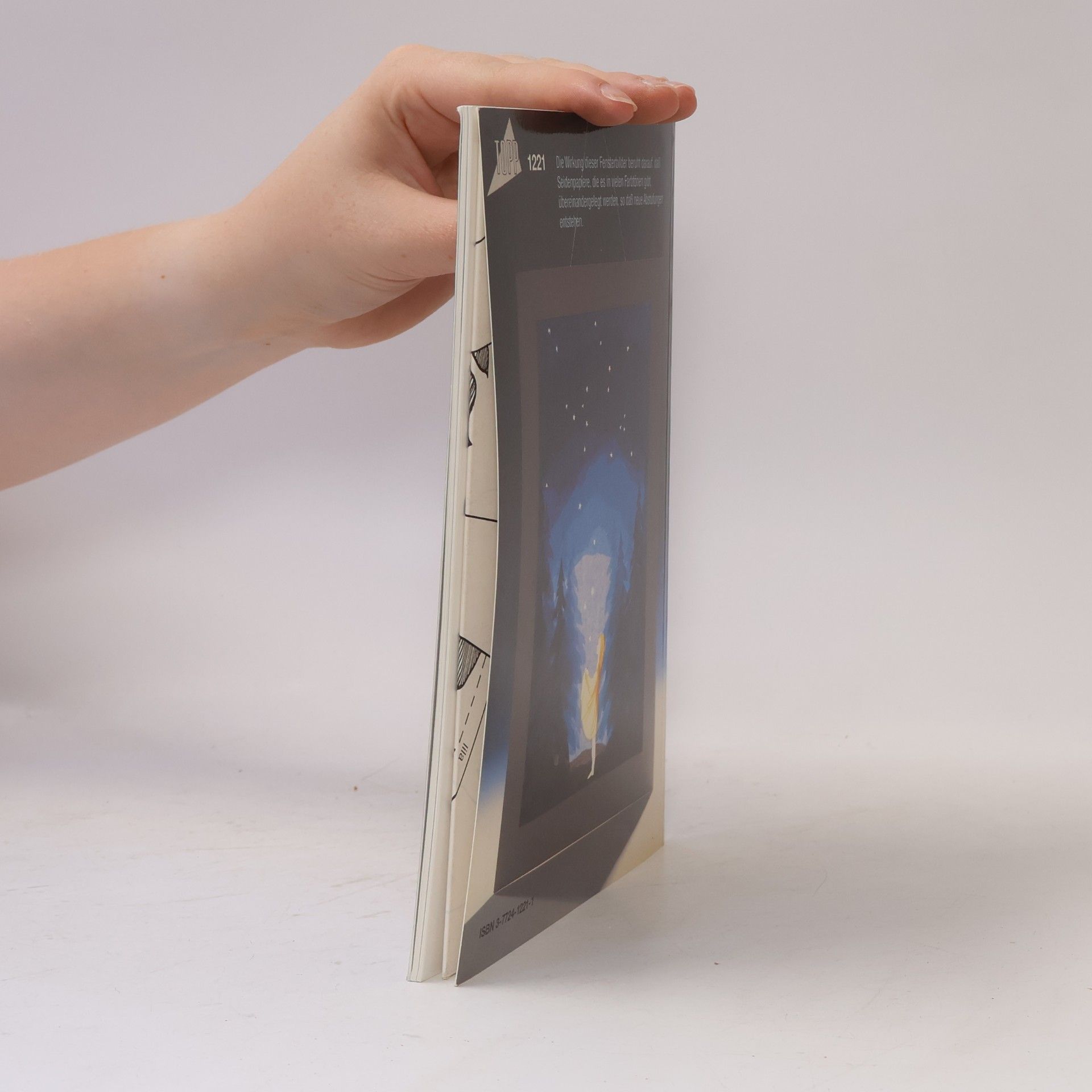 Helga Meyerbröker Transparente Bilder & Rosetten aus Seidenpapier
