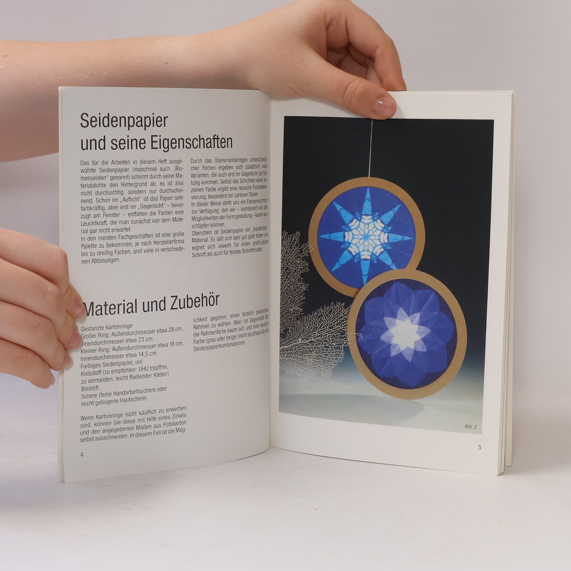 Helga Meyerbröker Transparente Bilder & Rosetten aus Seidenpapier