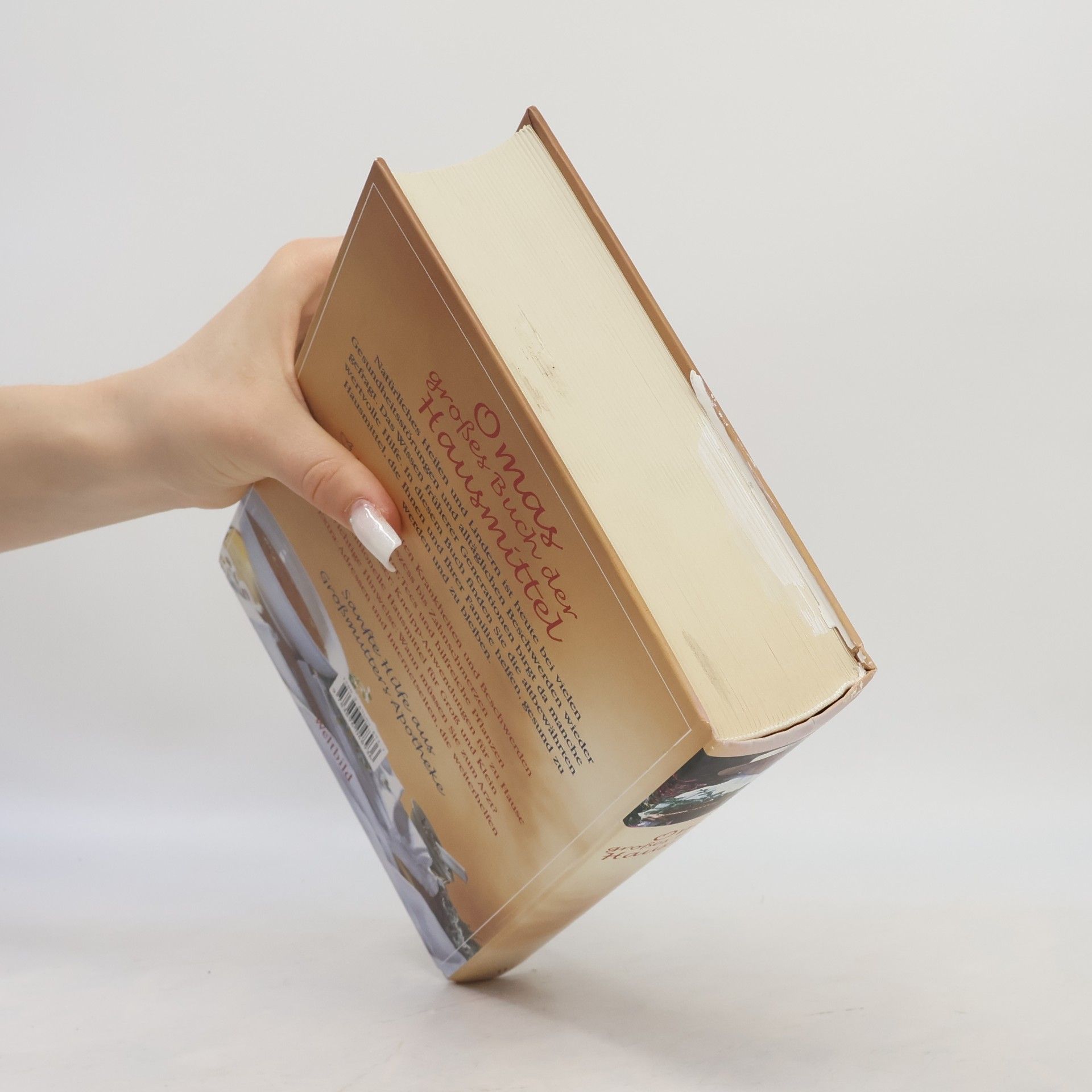 Eberhard J. Wormer Omas großes Buch der Hausmittel